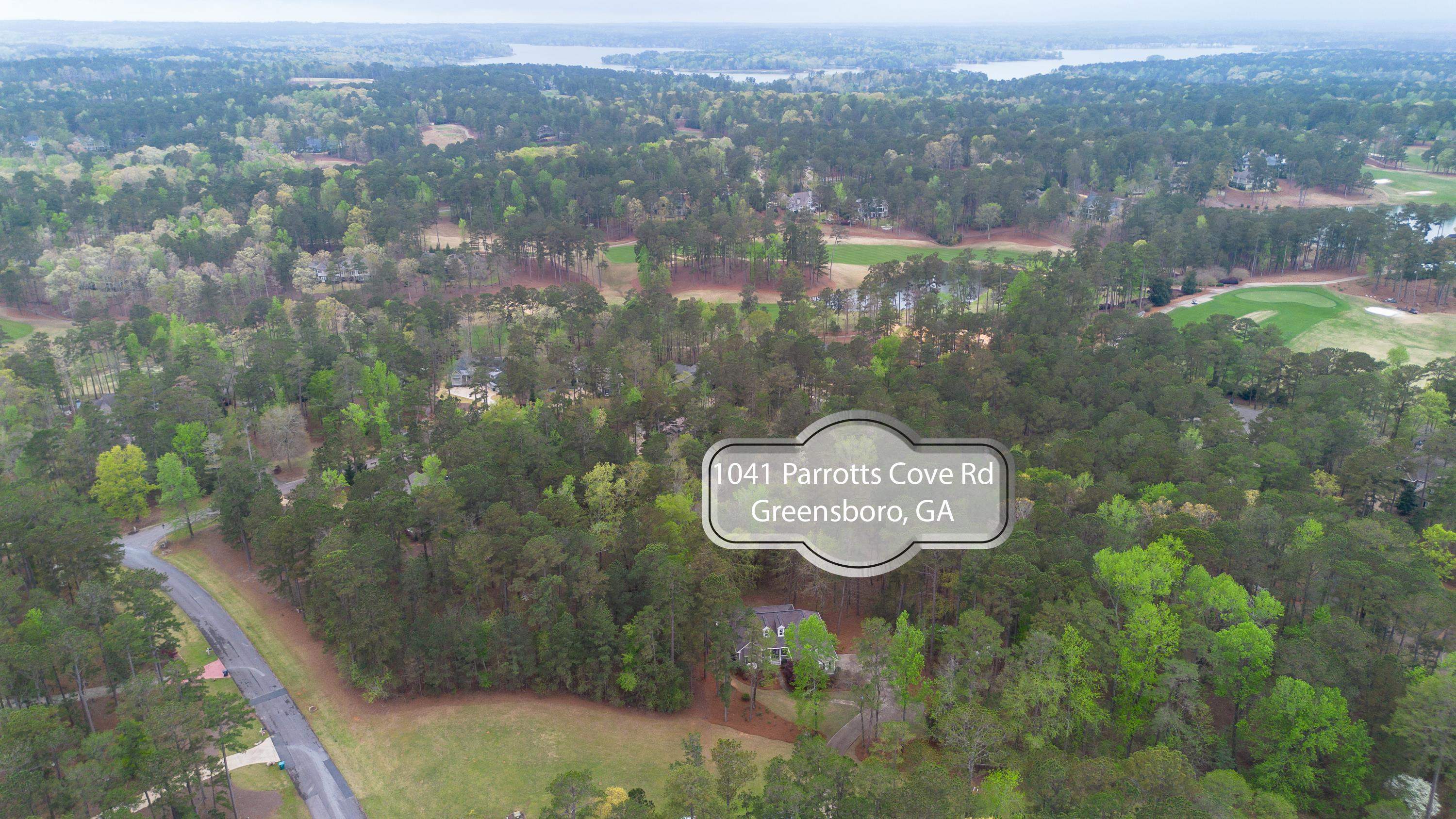 1041 PARROTTS COVE ROAD image 51