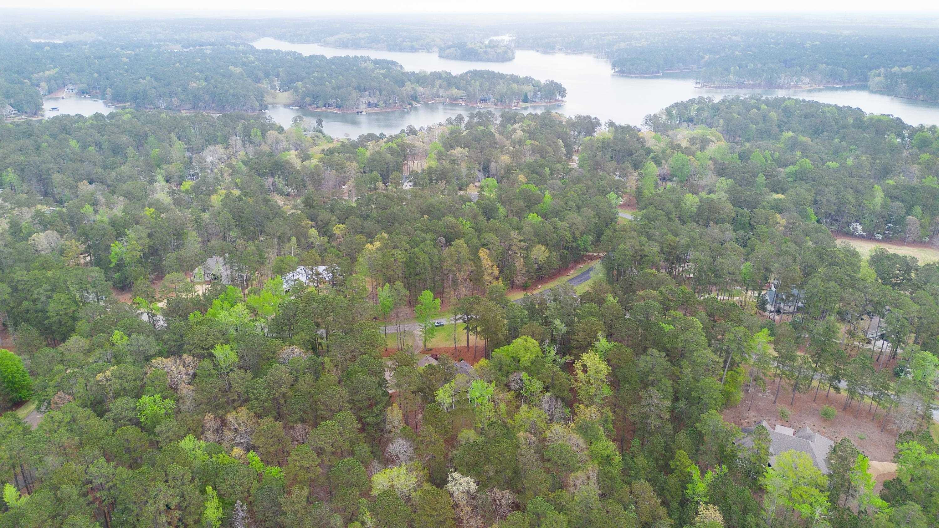 1041 PARROTTS COVE ROAD image 55