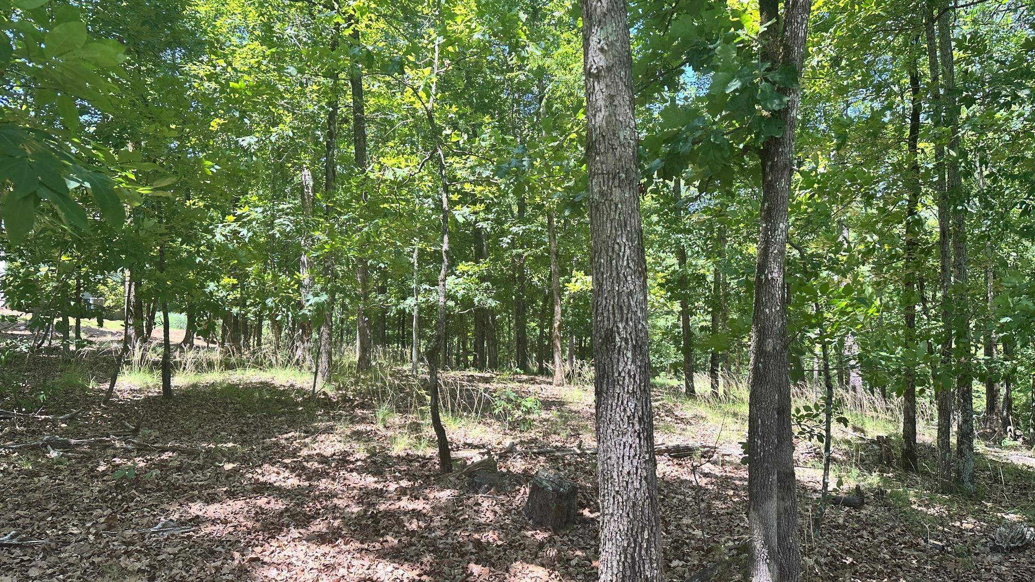 1051 Pebble Hill Lane image 2