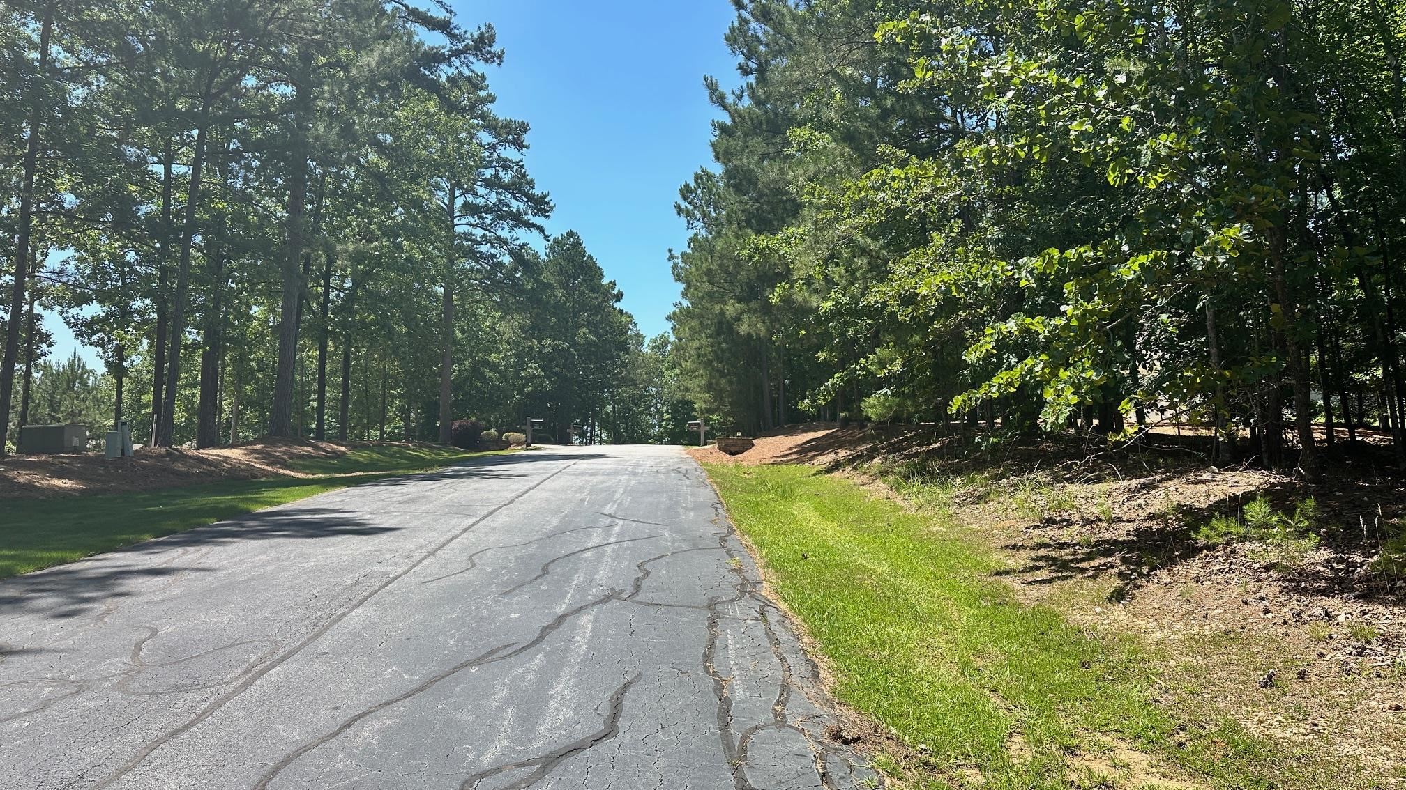 1051 Pebble Hill Lane image 4