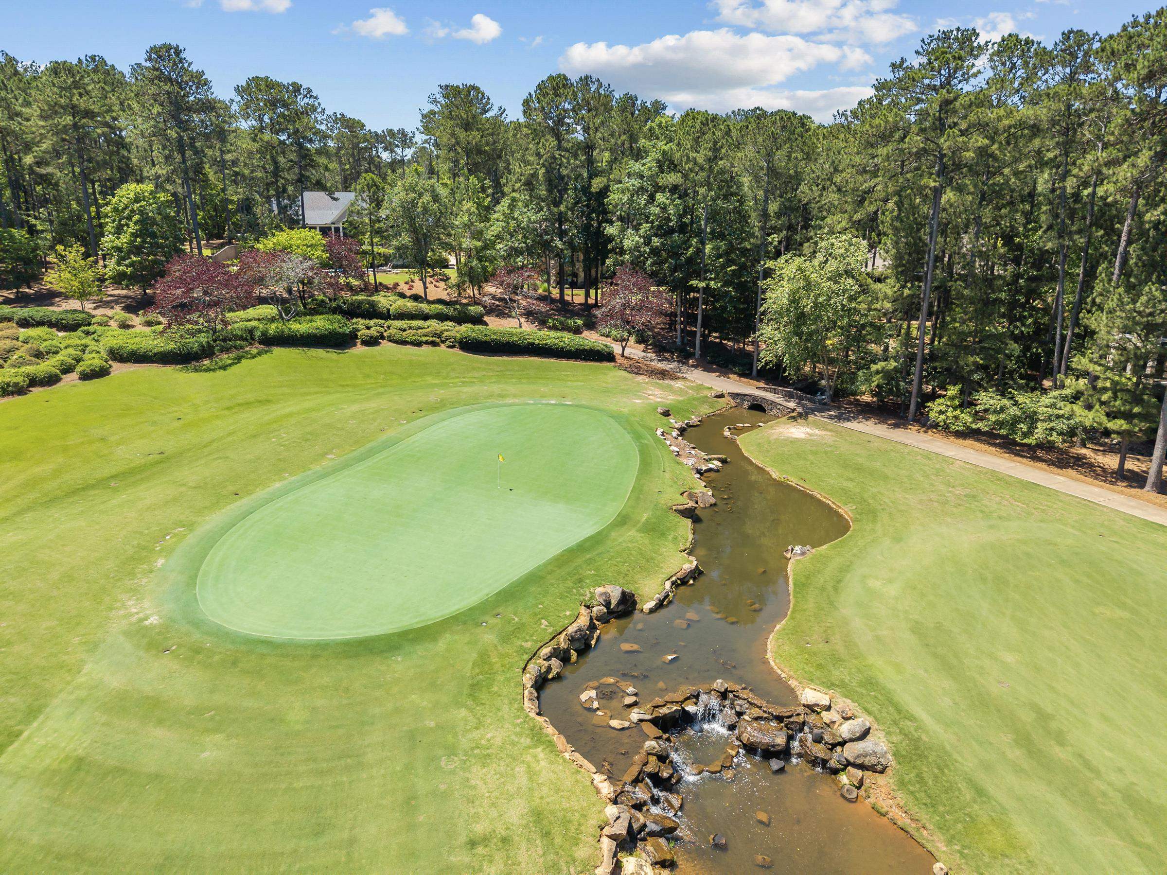 1031 SUGAR RUN image 74
