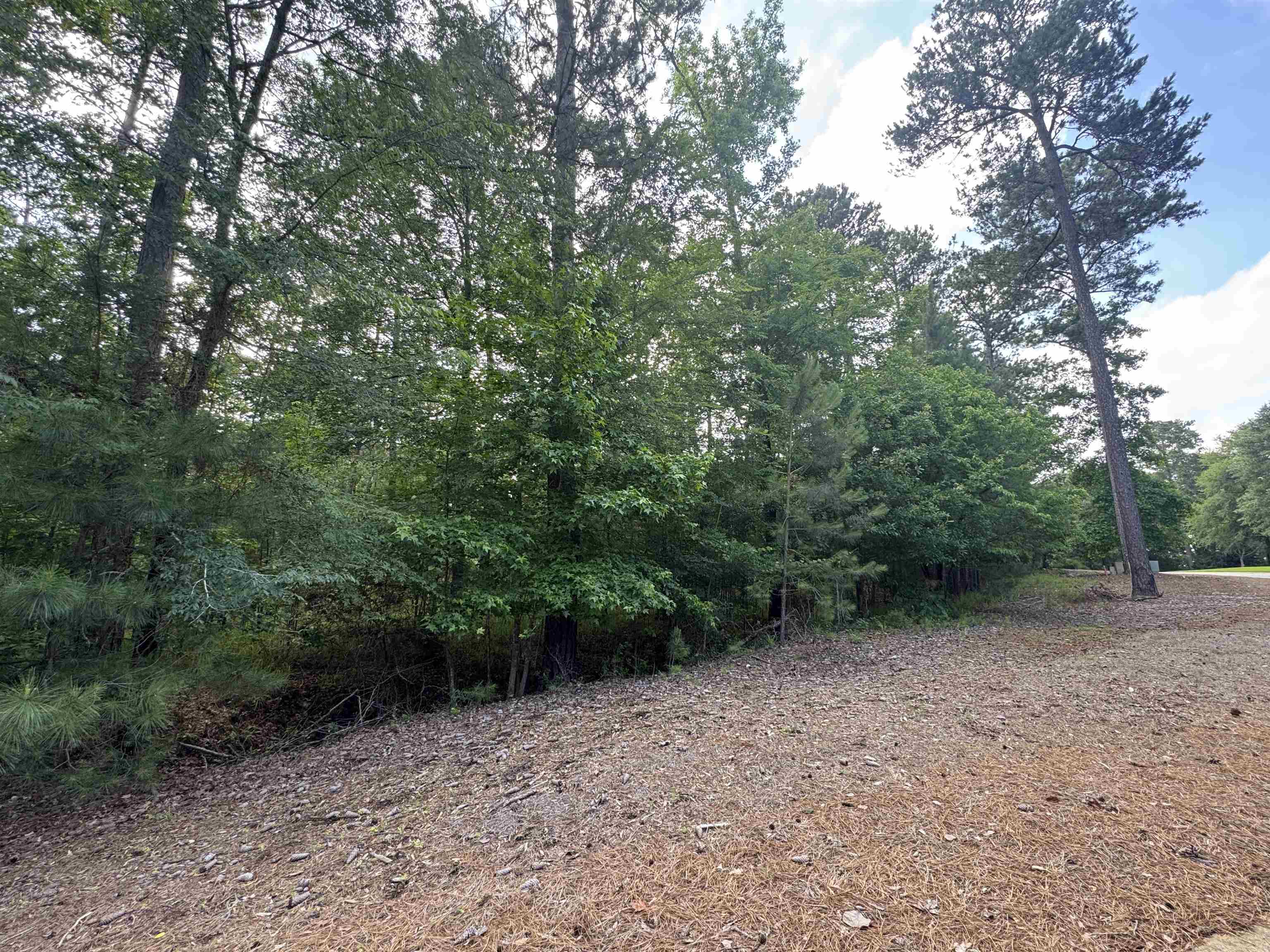 1021 Woodmont Court image 2