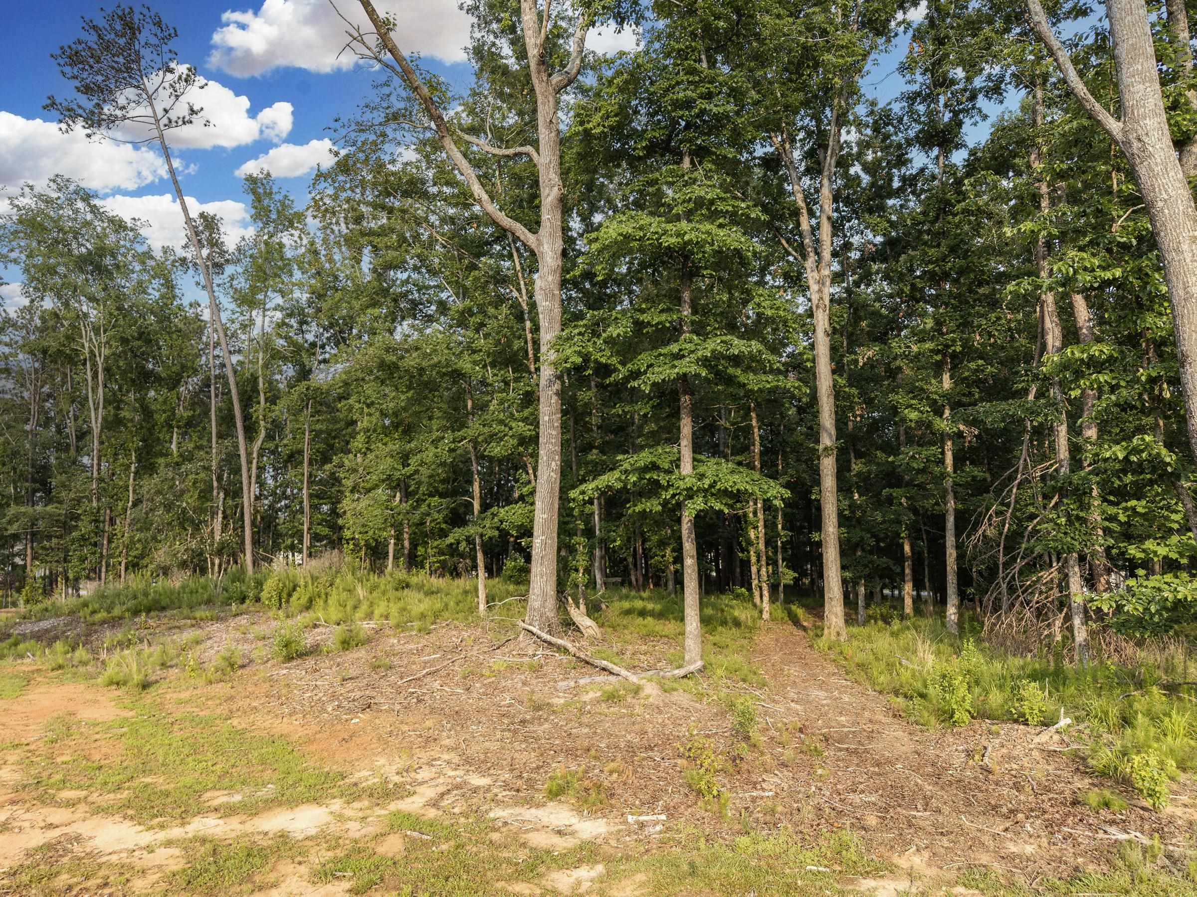 1361 Harrier Ridge image 2