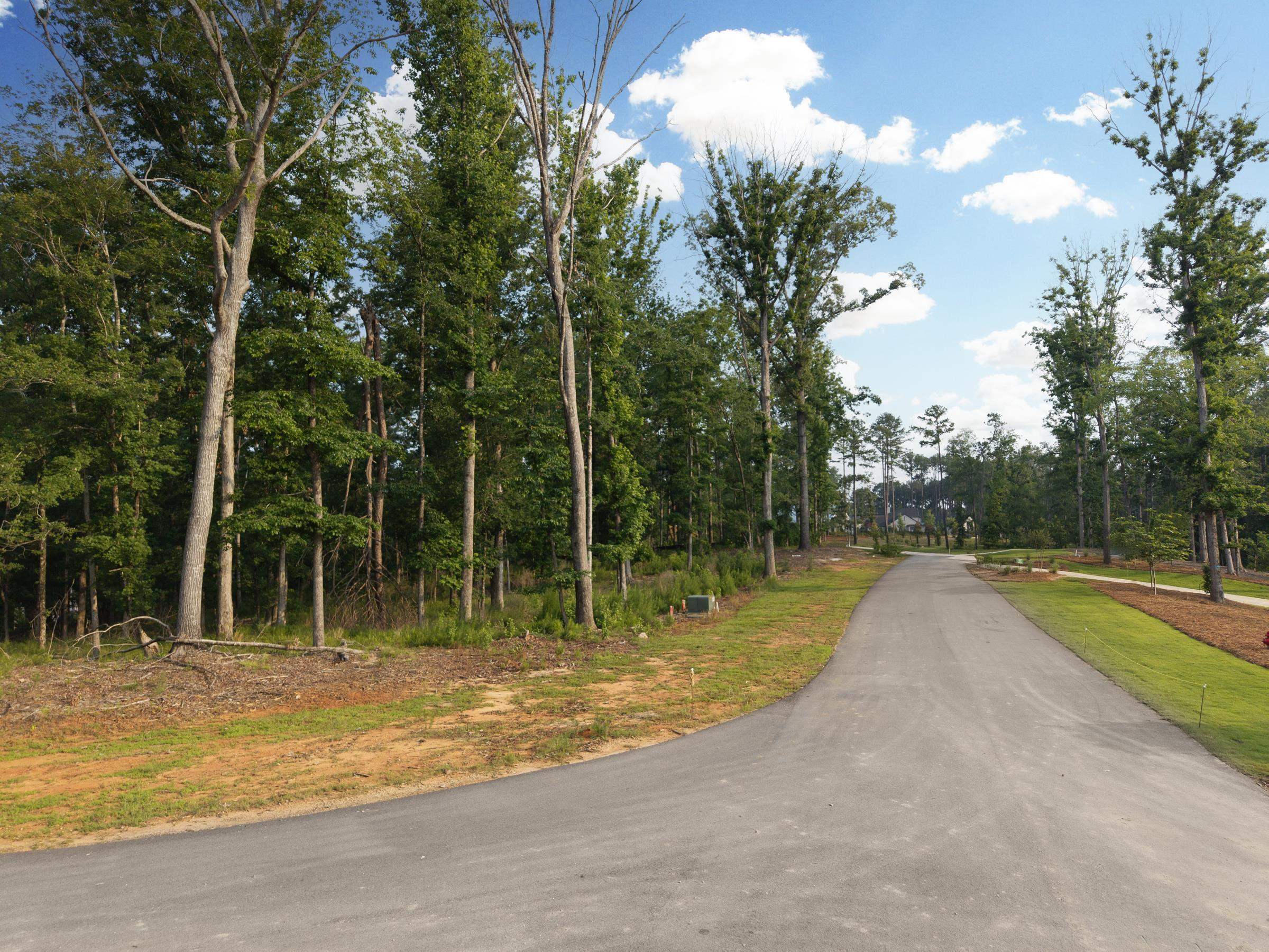 1361 Harrier Ridge image 5