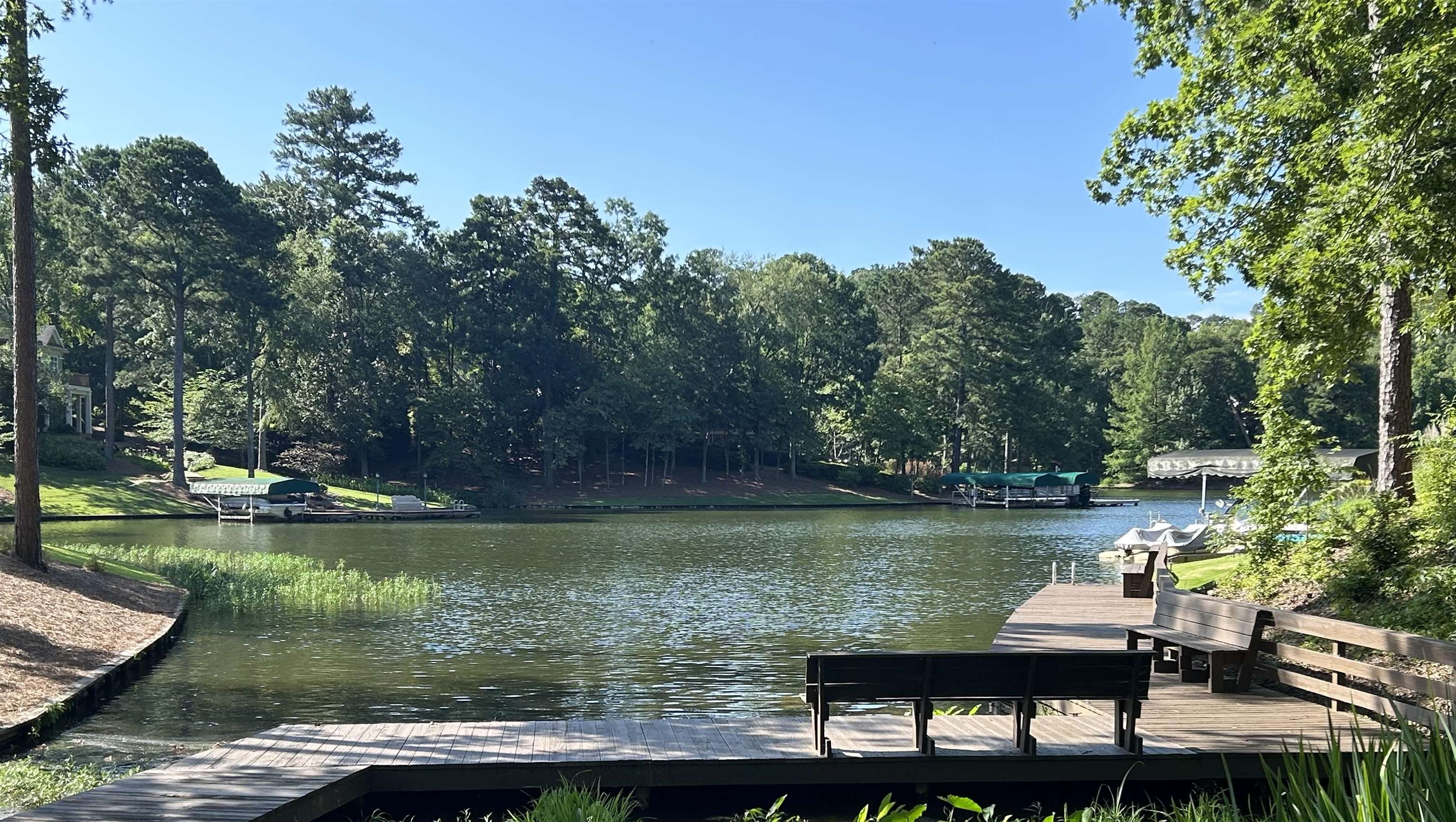 1170 LIBERTY BLUFF ROAD image 3