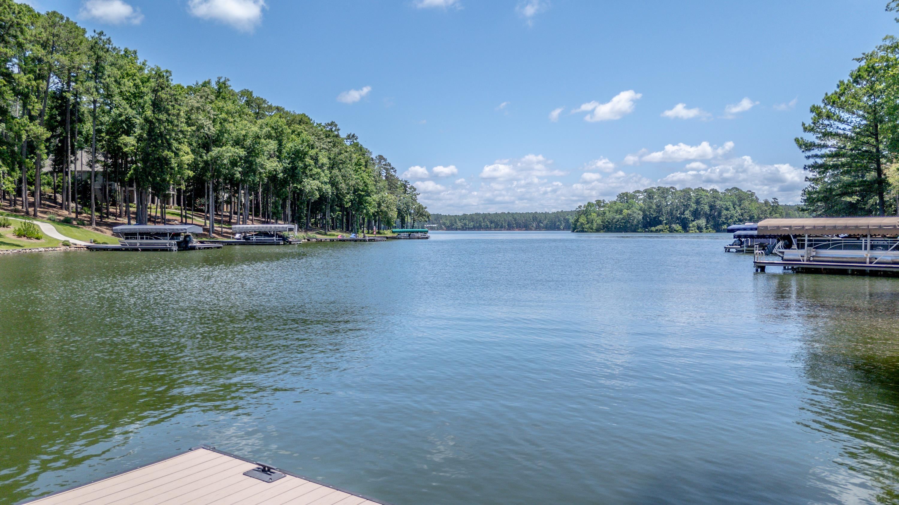 1030 BRICKYARD LANE image 11