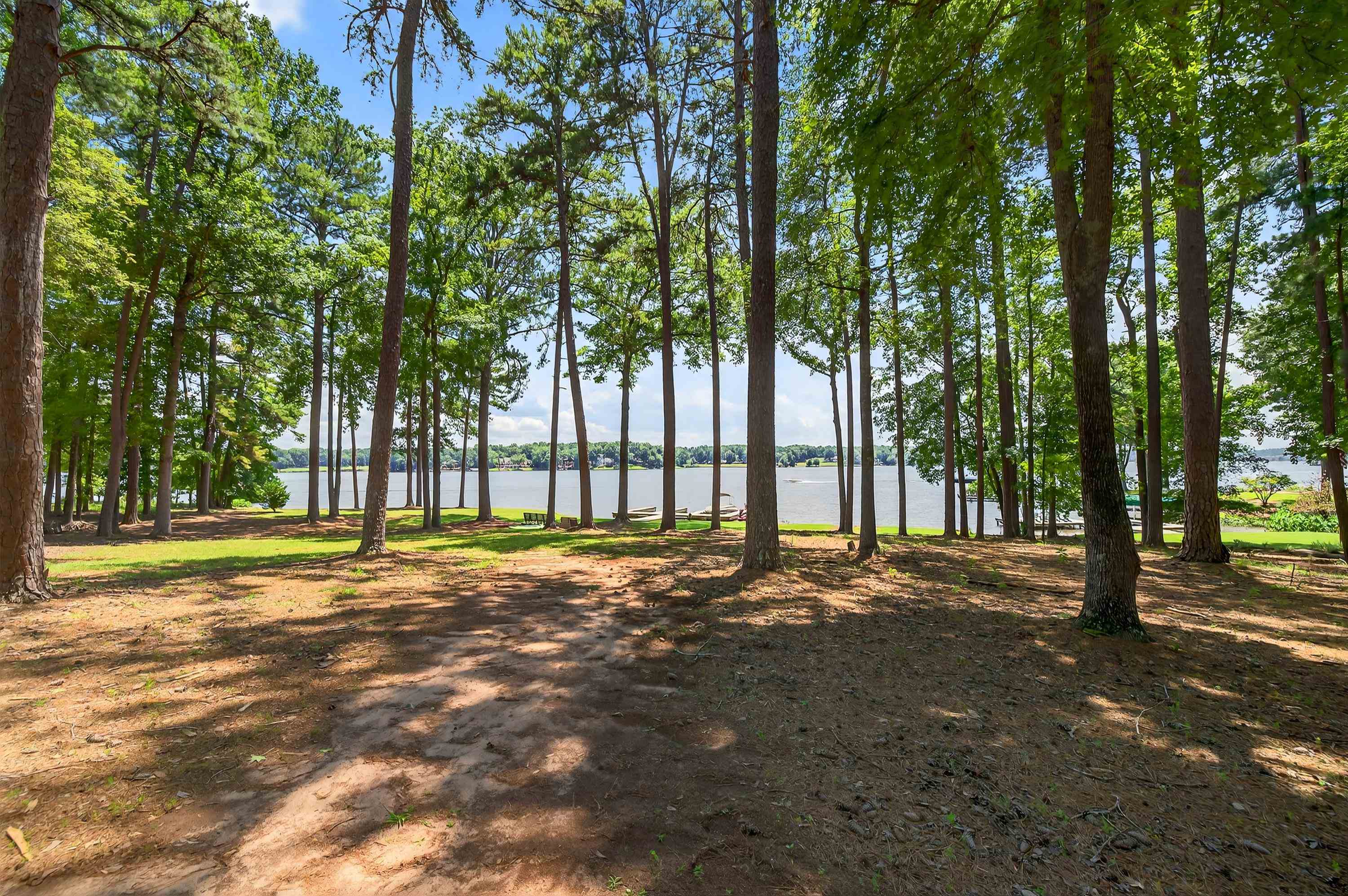 1441 BENNETT SPRINGS DRIVE image 7