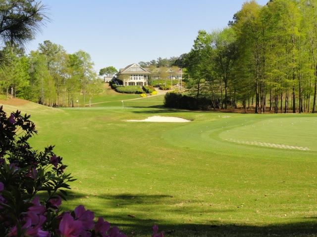 1181 ROSE CREEK image 51