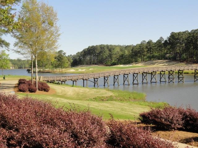 1181 ROSE CREEK image 52