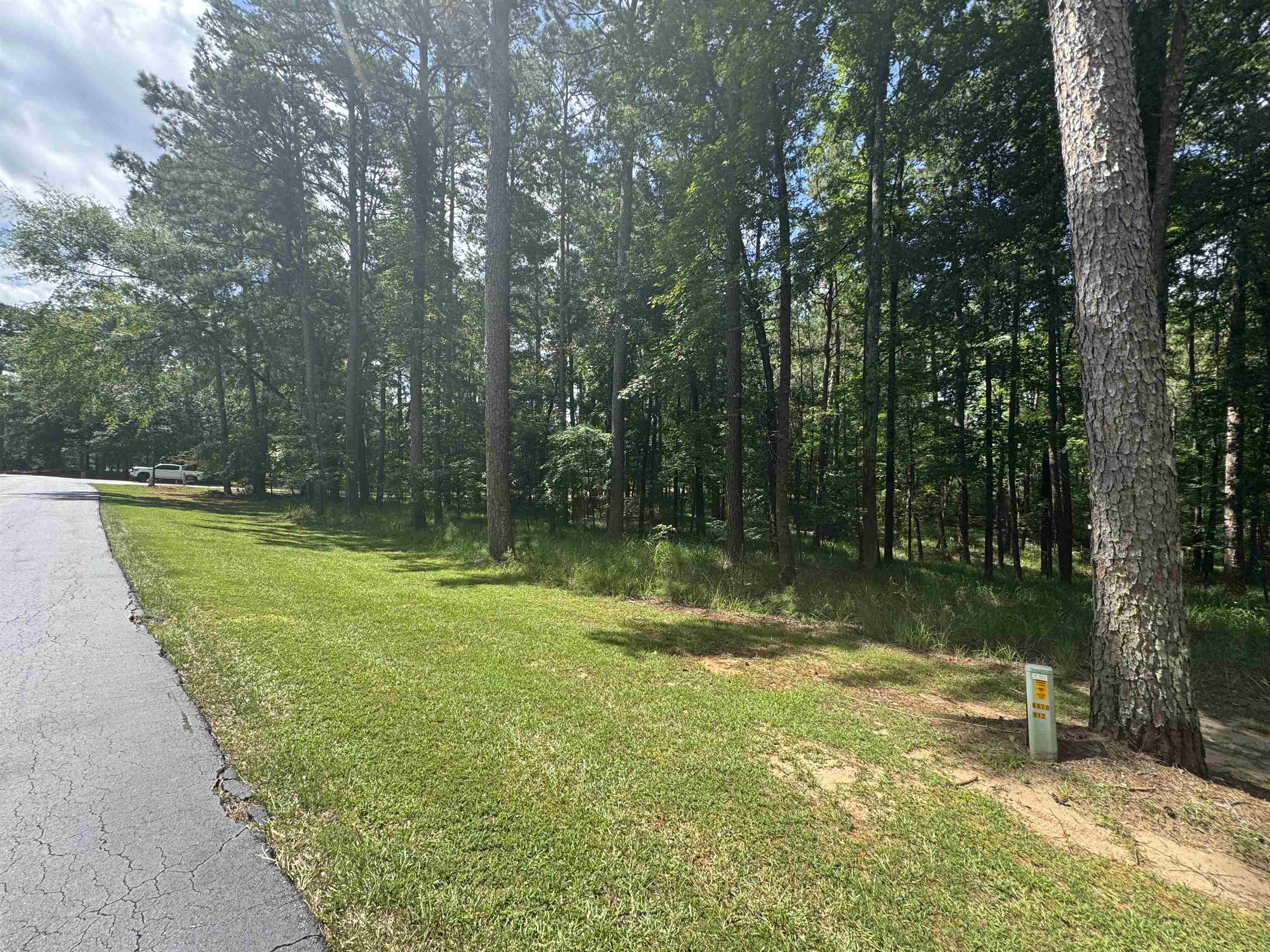 1101 Bennett Springs Drive image 2