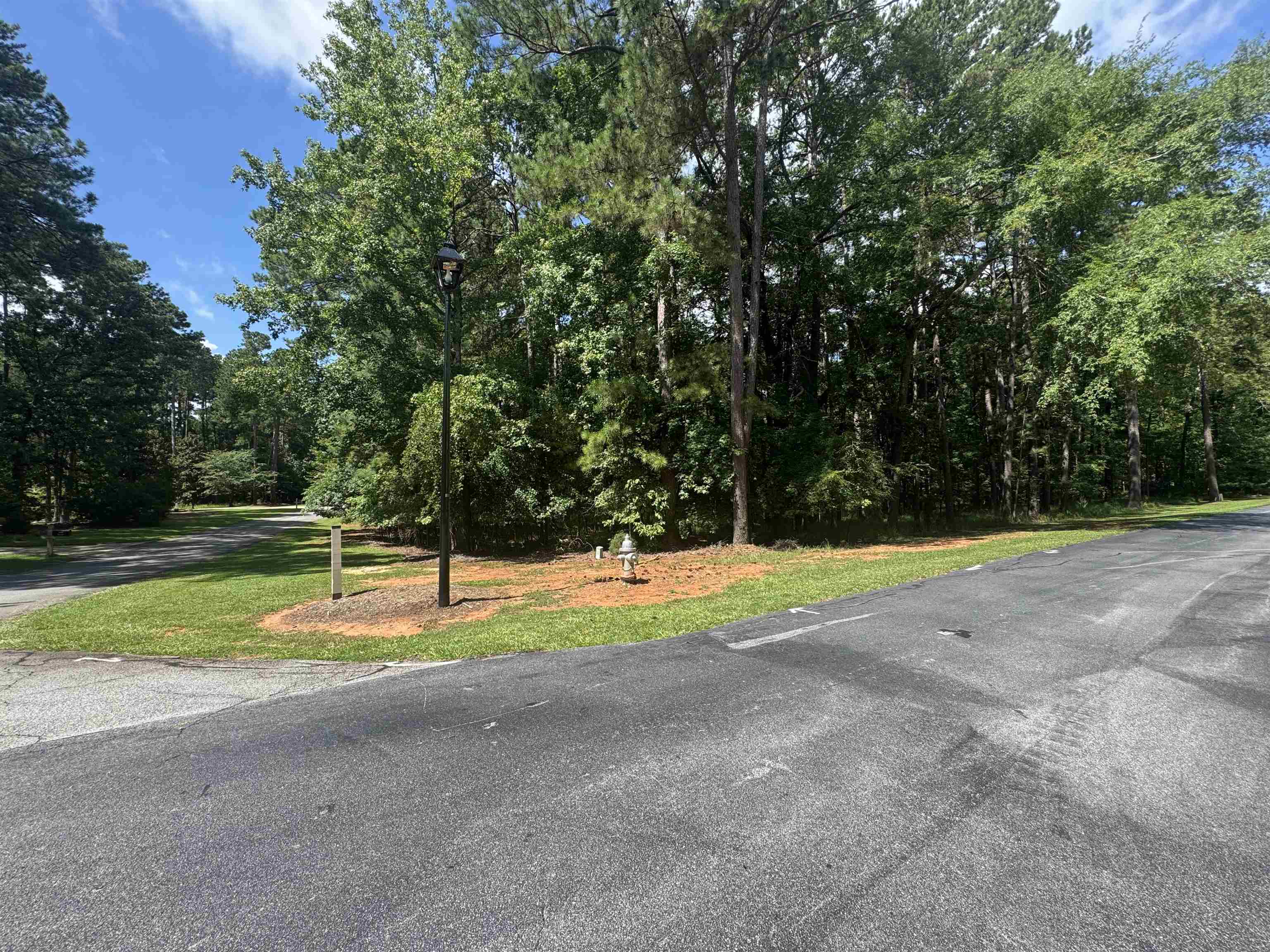 1101 Bennett Springs Drive image 3