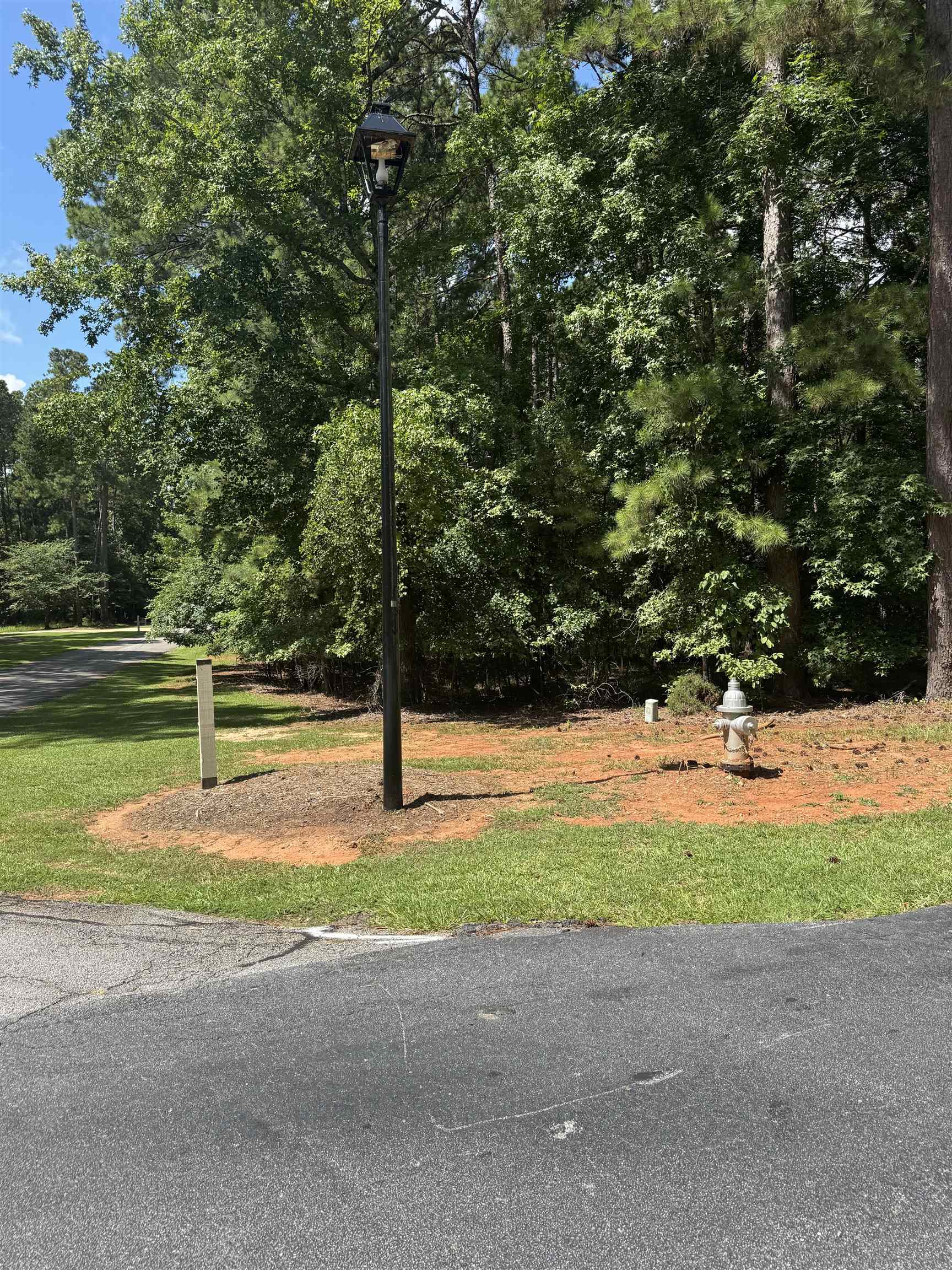 1101 Bennett Springs Drive image 5
