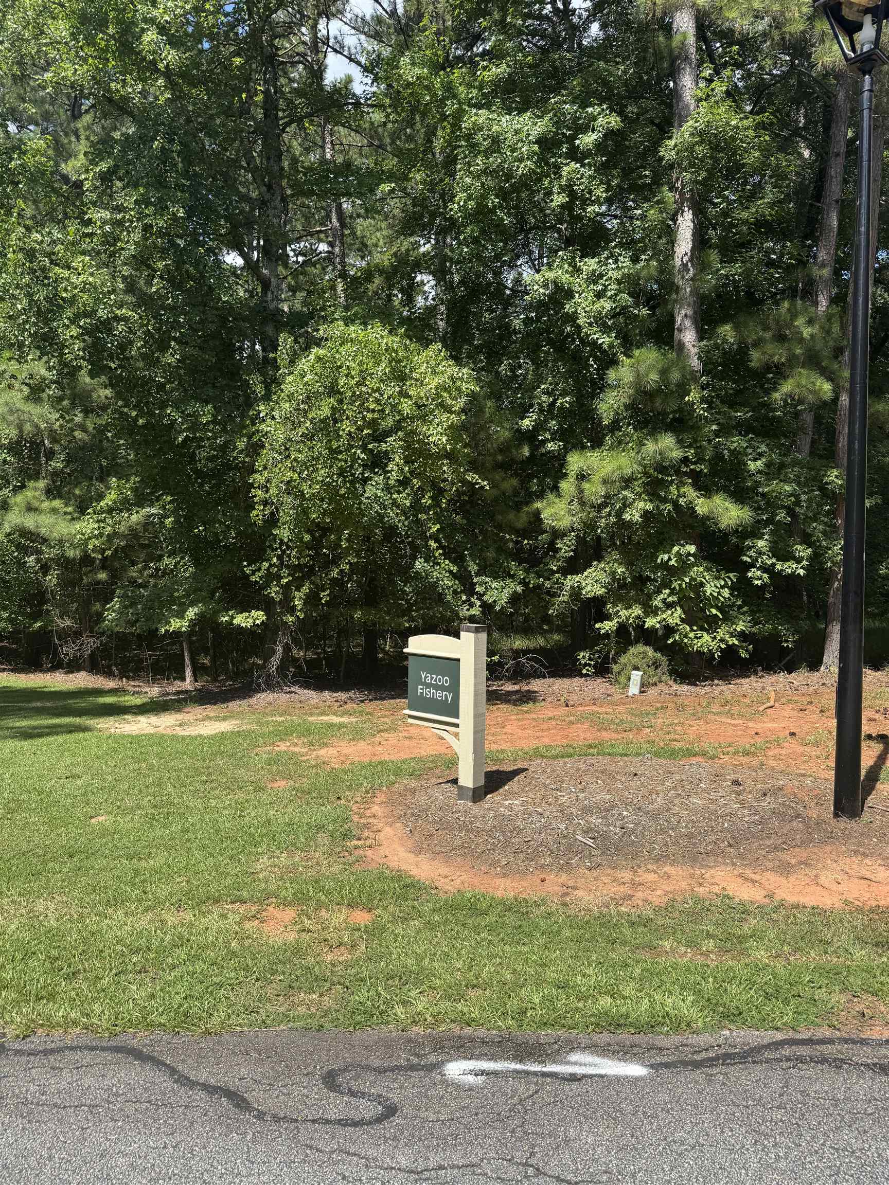 1101 Bennett Springs Drive image 4