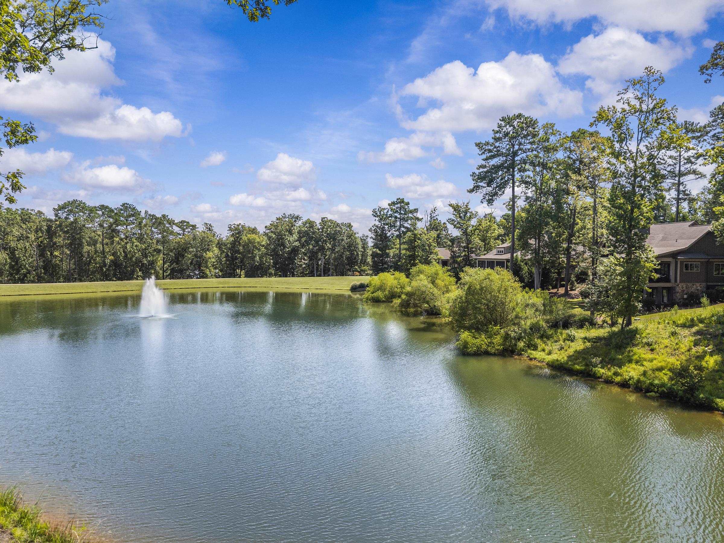 1081 ANGEL POND WEST image 2