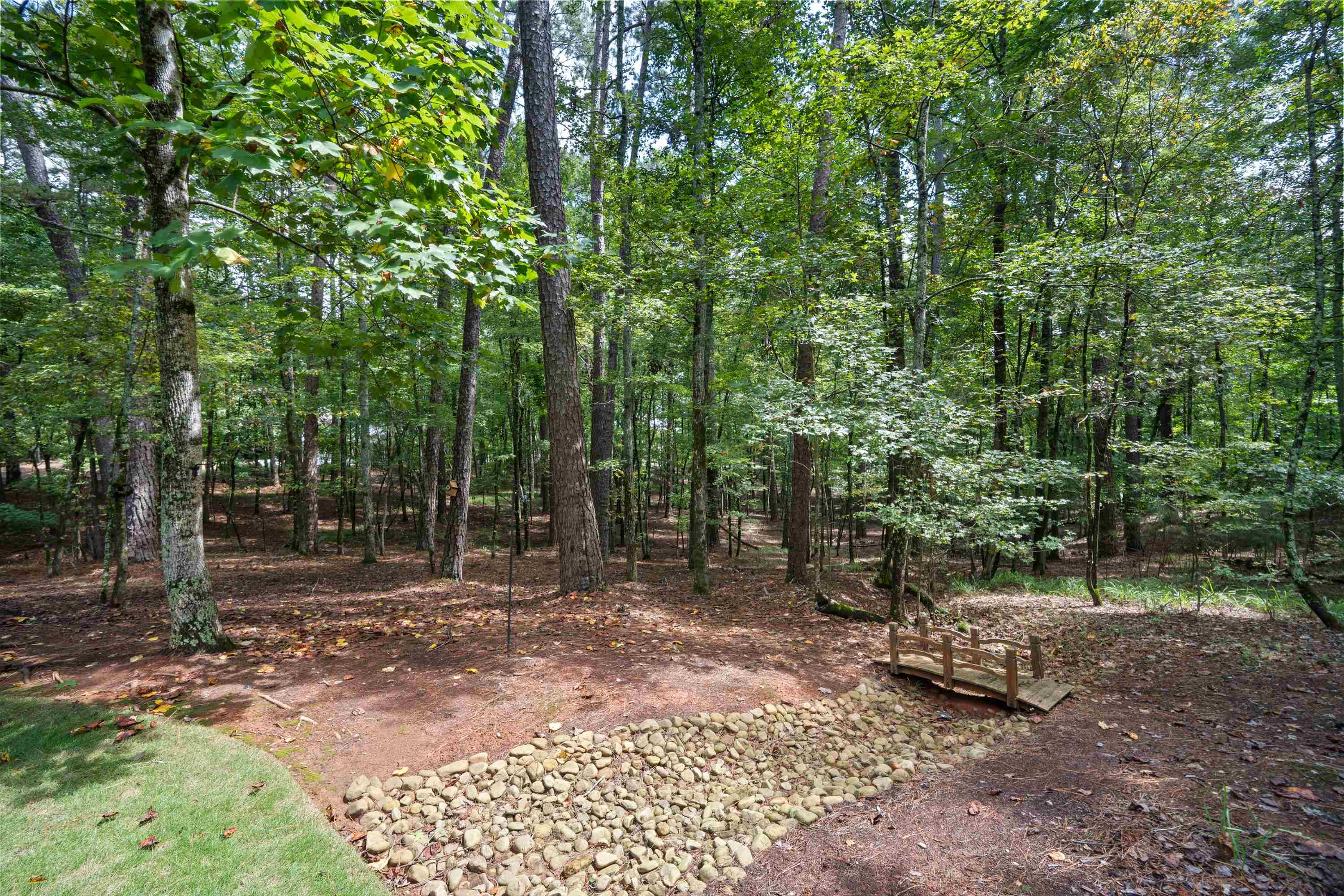 1860 GARNERS FERRY ROAD image 37