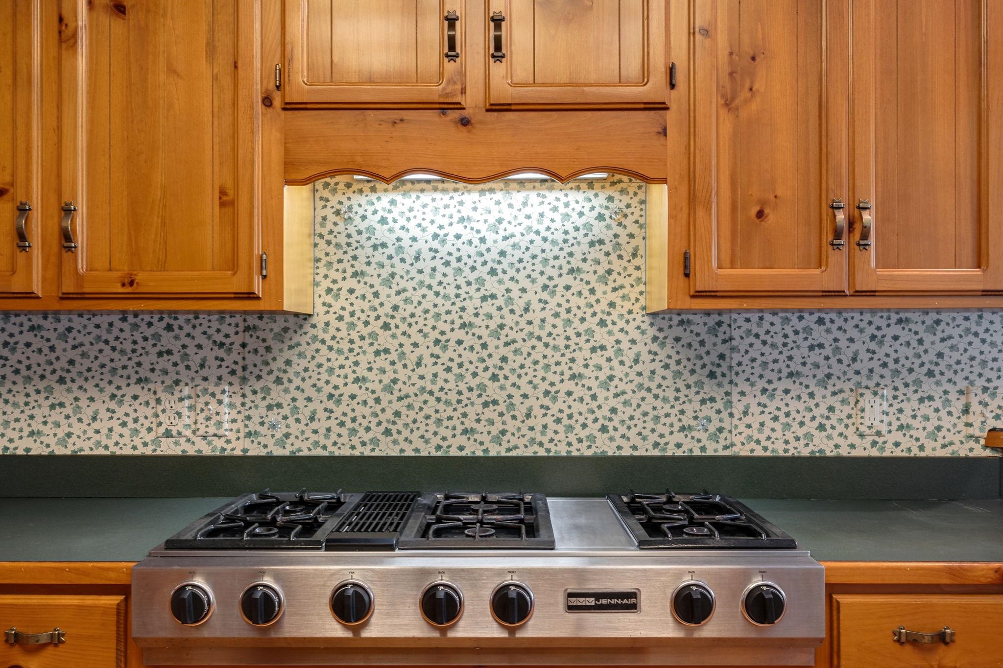 225 REYNOLDS DRIVE image 23