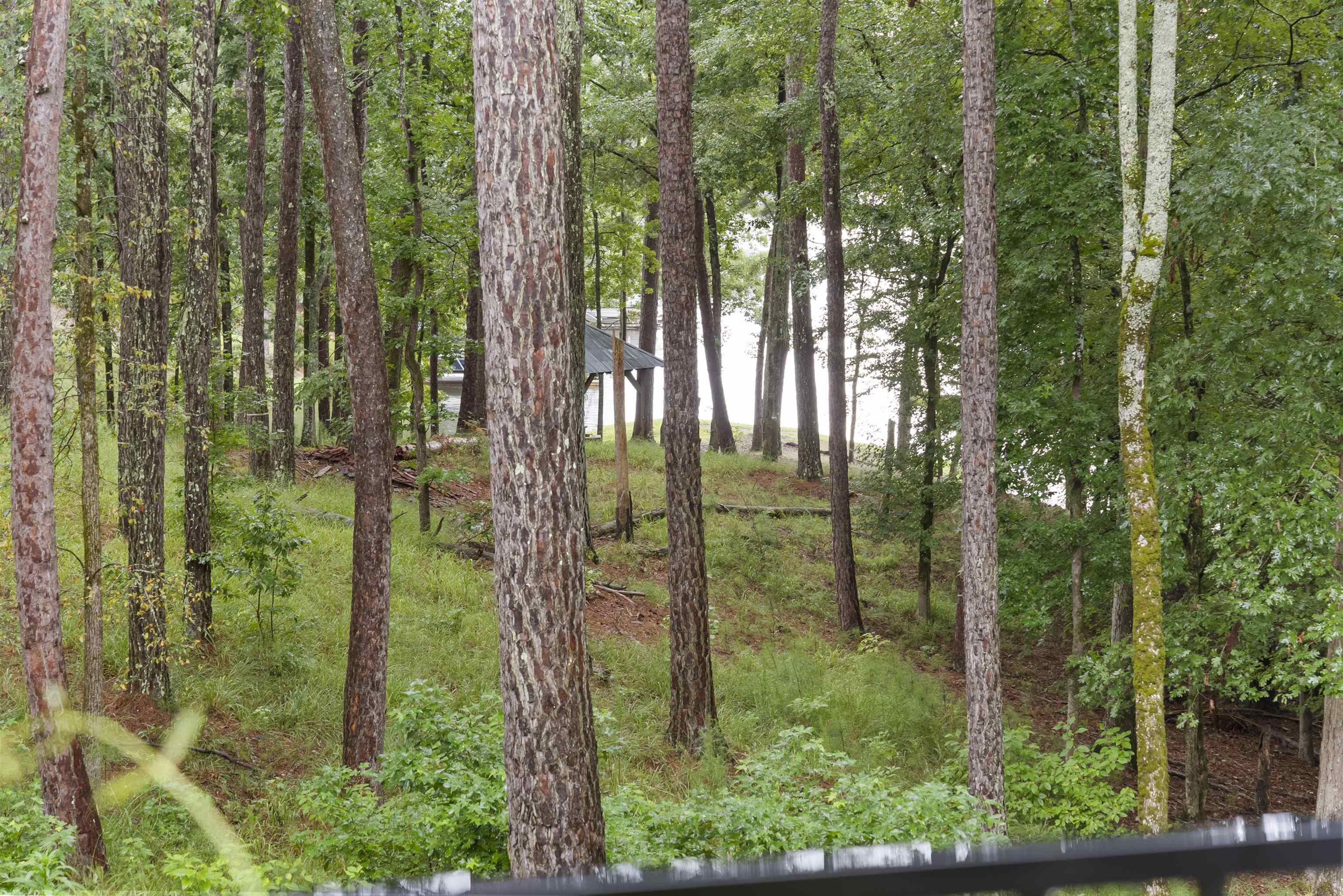 1091 JONES BLUFF COURT image 70
