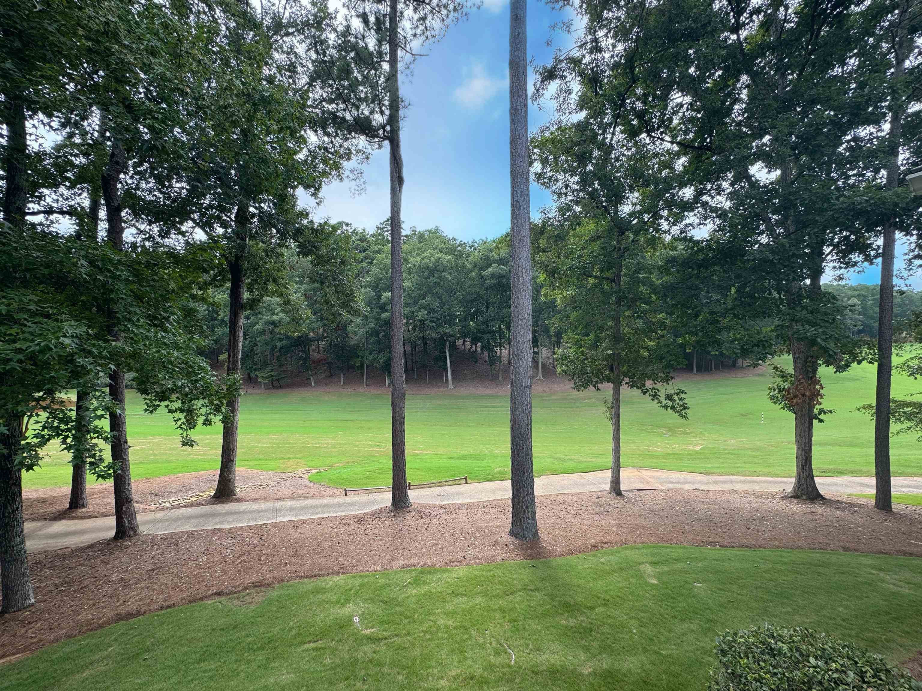 1073 CLUB HOUSE LANE image 32