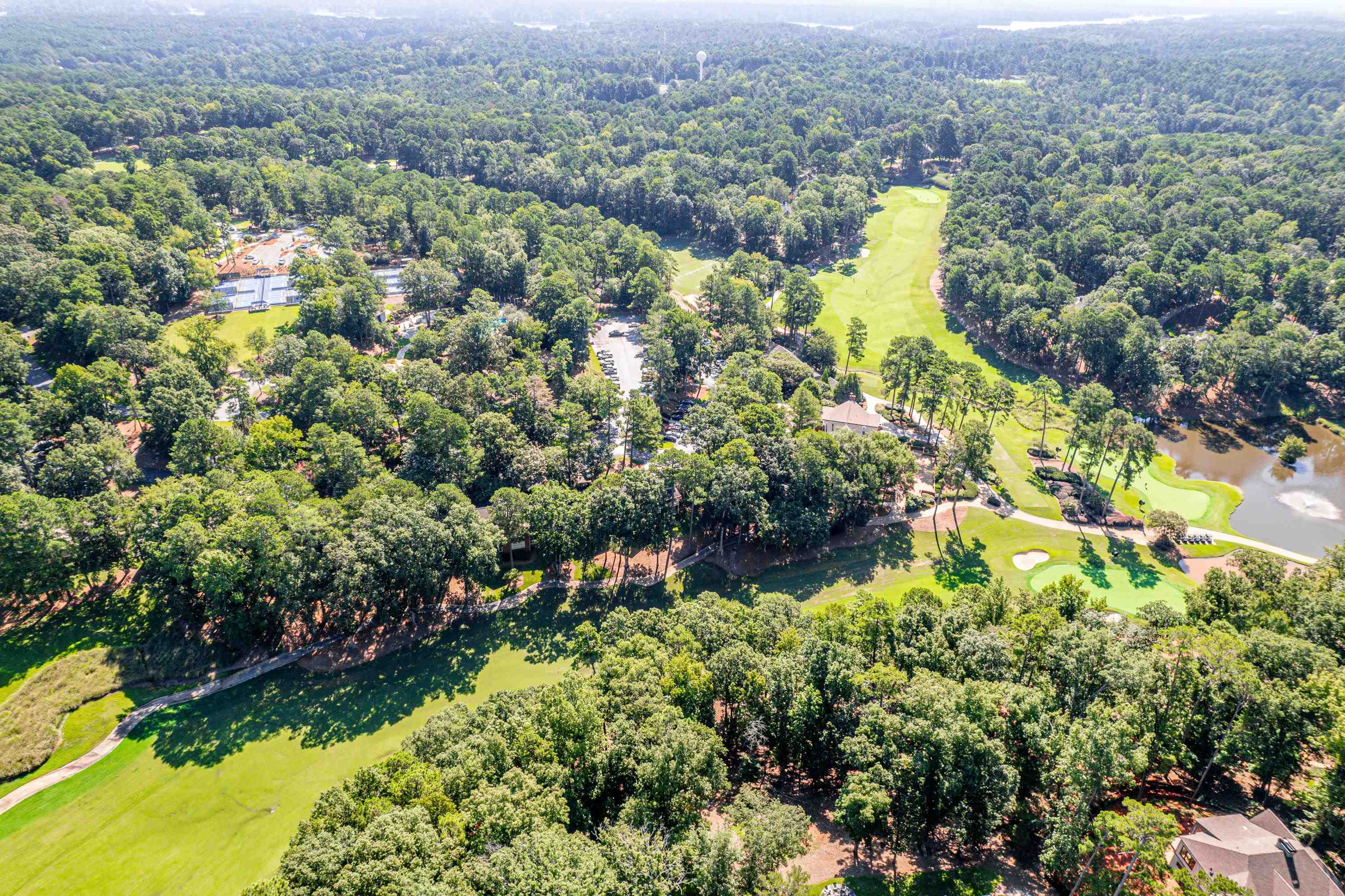 1073 CLUB HOUSE LANE image 35