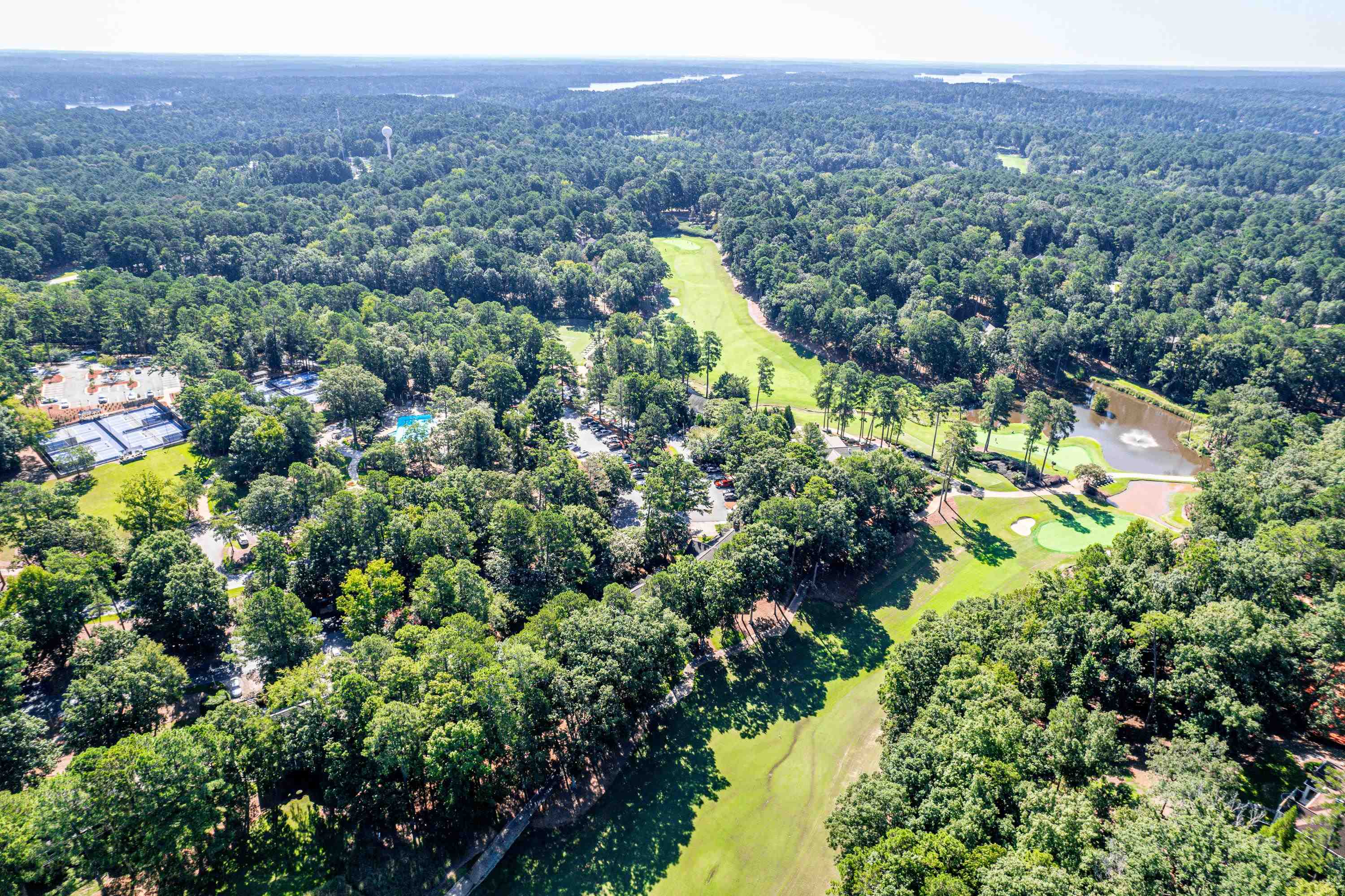 1073 CLUB HOUSE LANE image 36