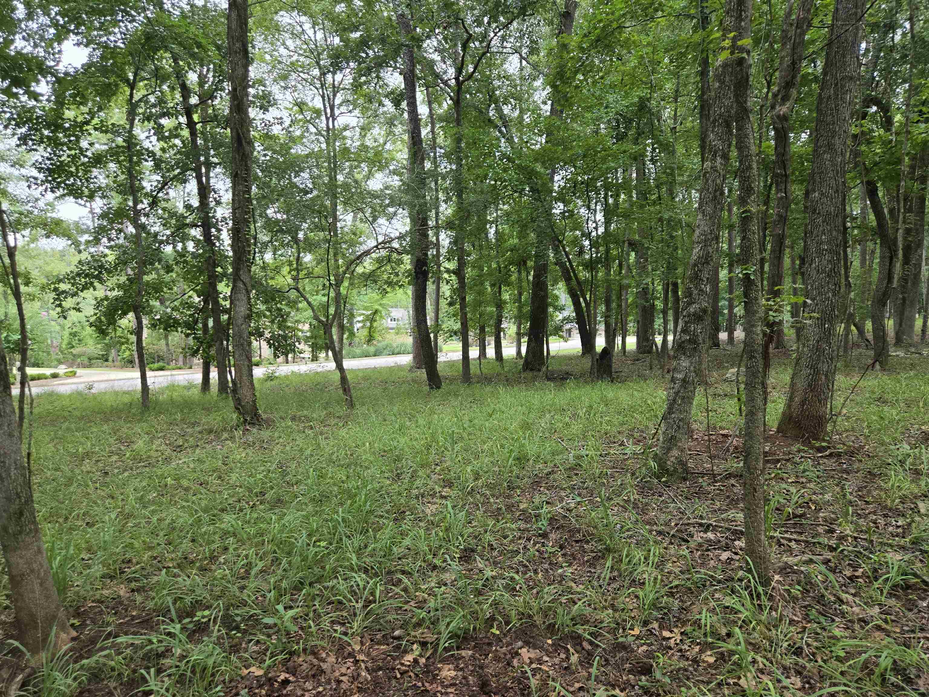 South Grove Road image 12