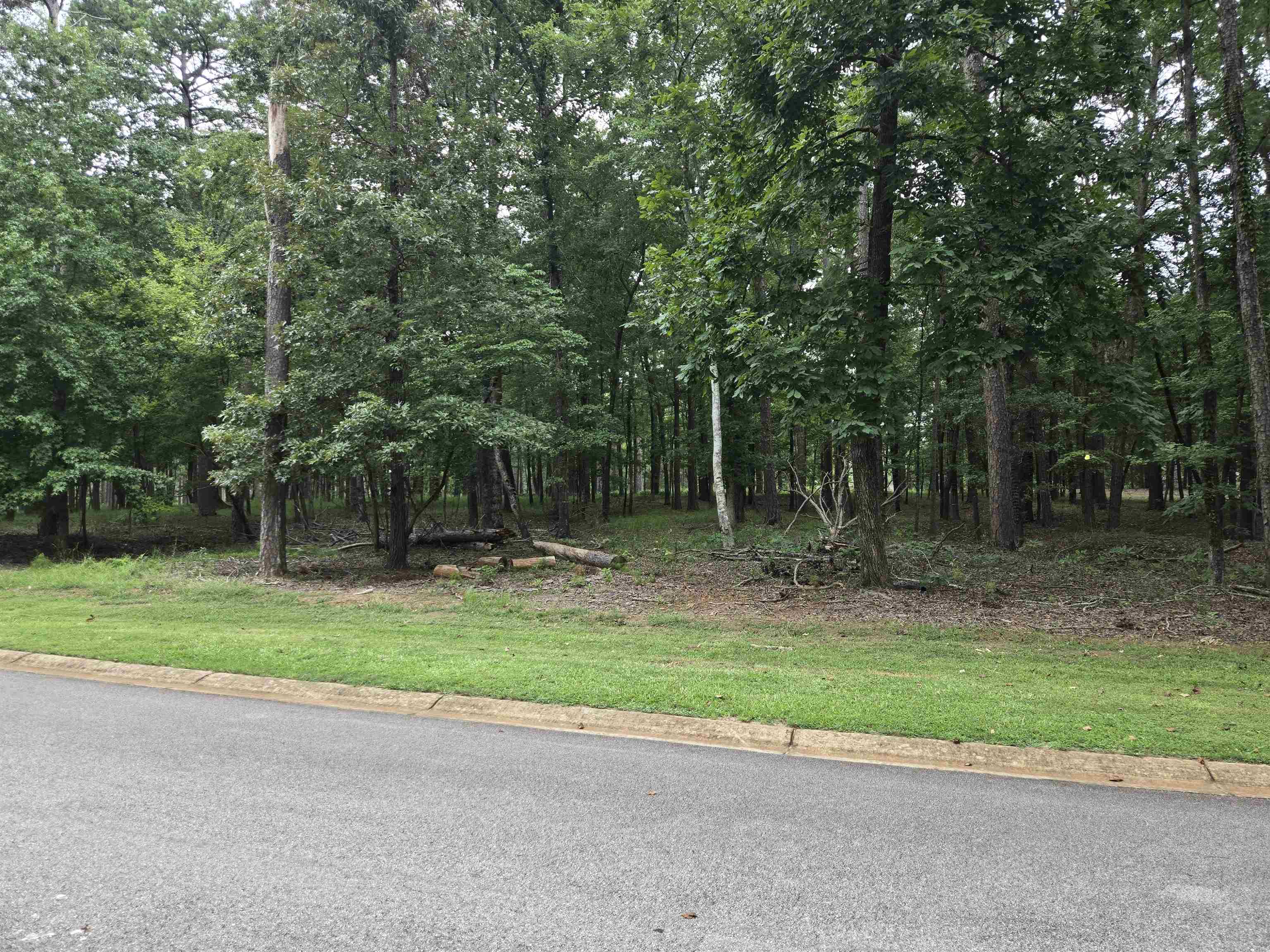 South Grove Road image 5