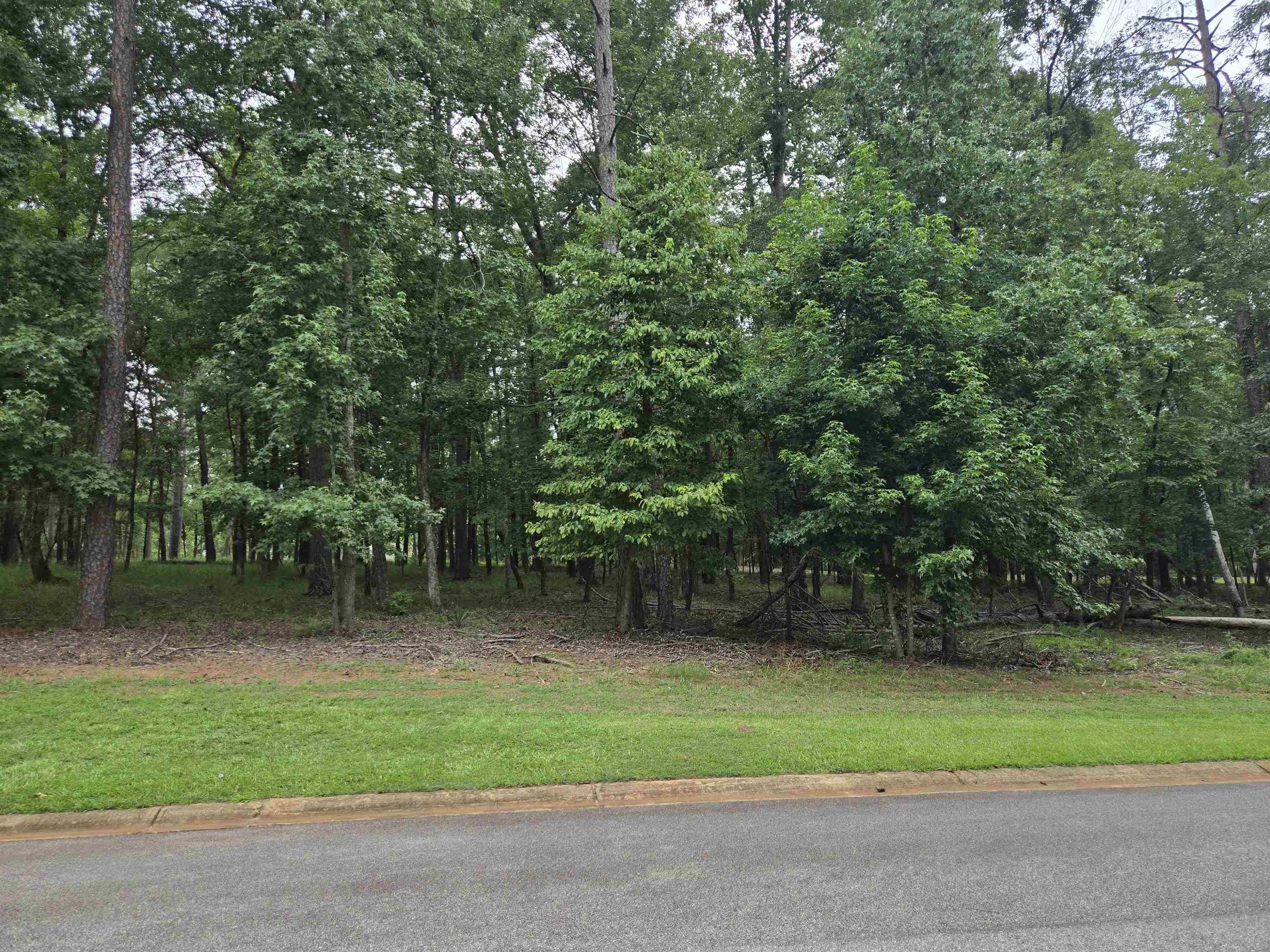 South Grove Road image 6