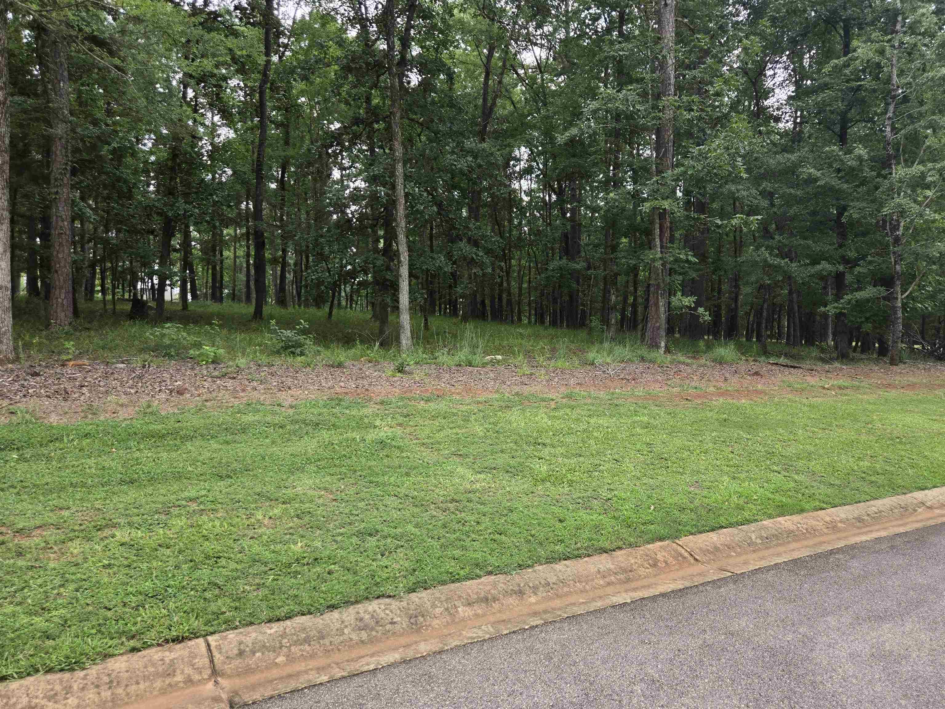 South Grove Road image 7