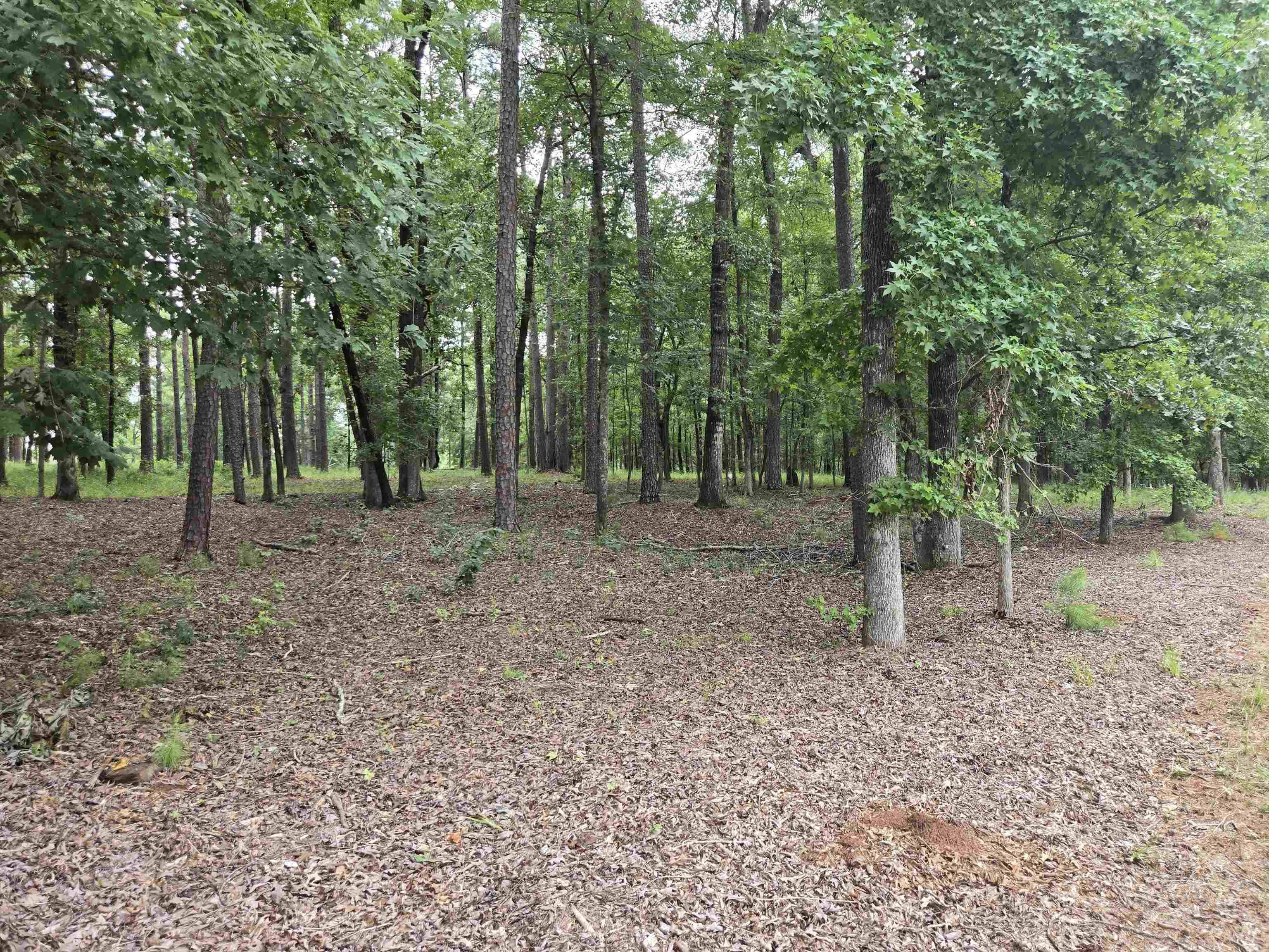 South Grove Road image 8