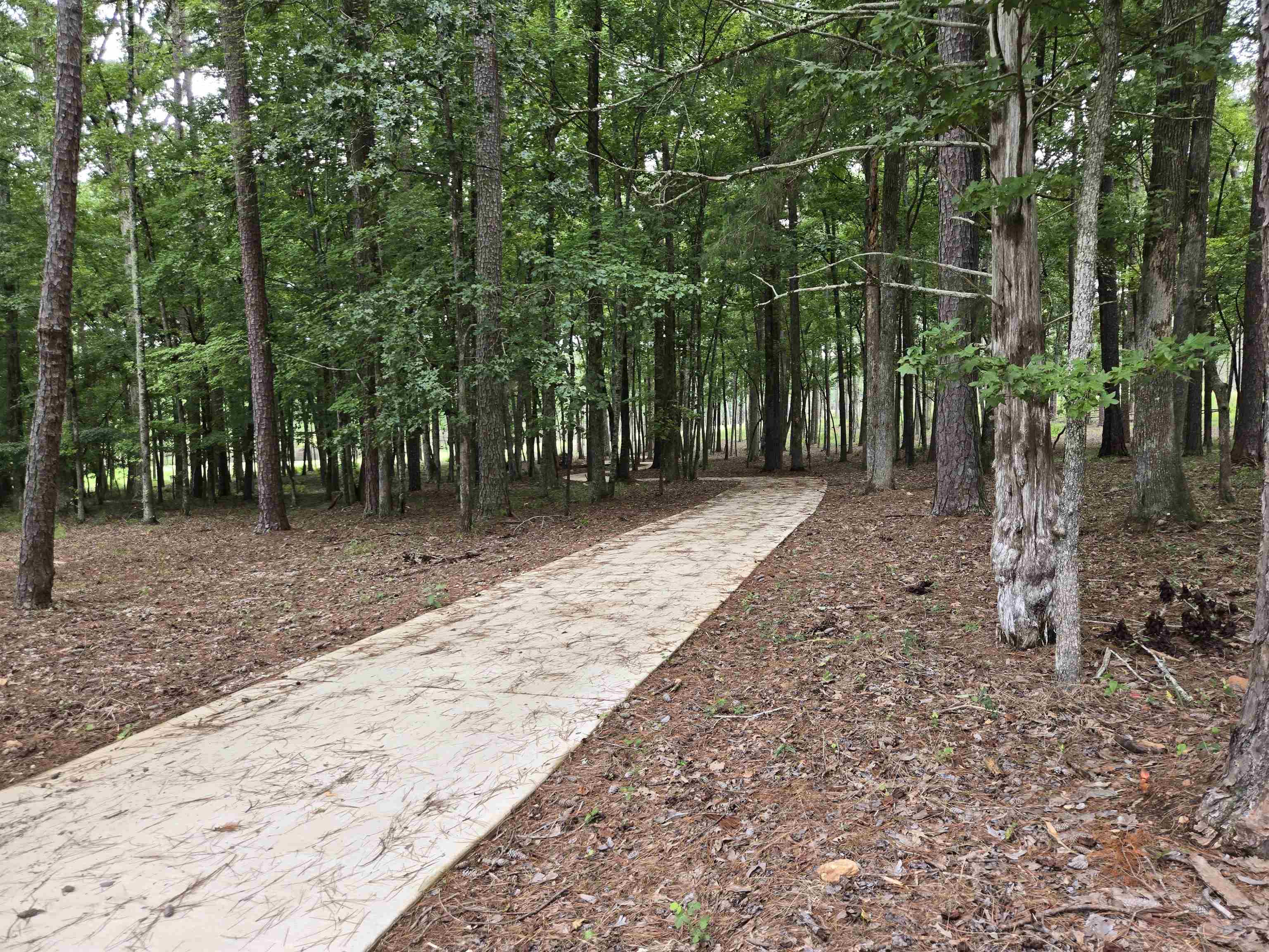 South Grove Road image 9