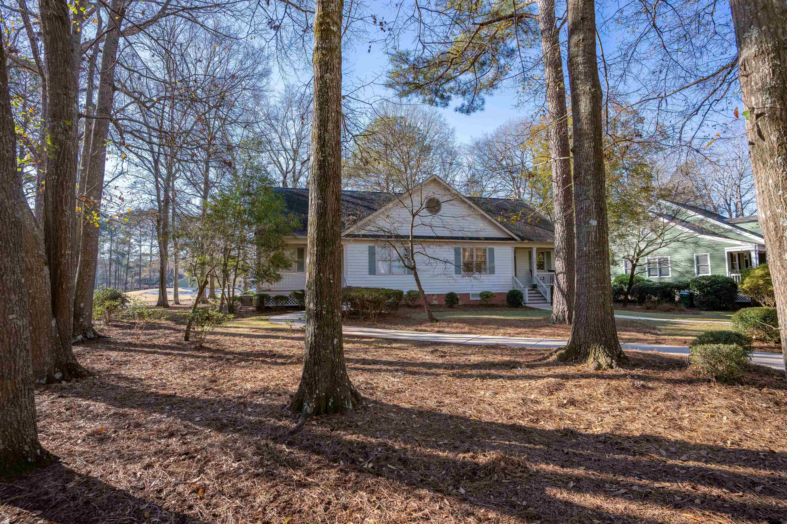 246 BEECH HAVEN LANE image 24