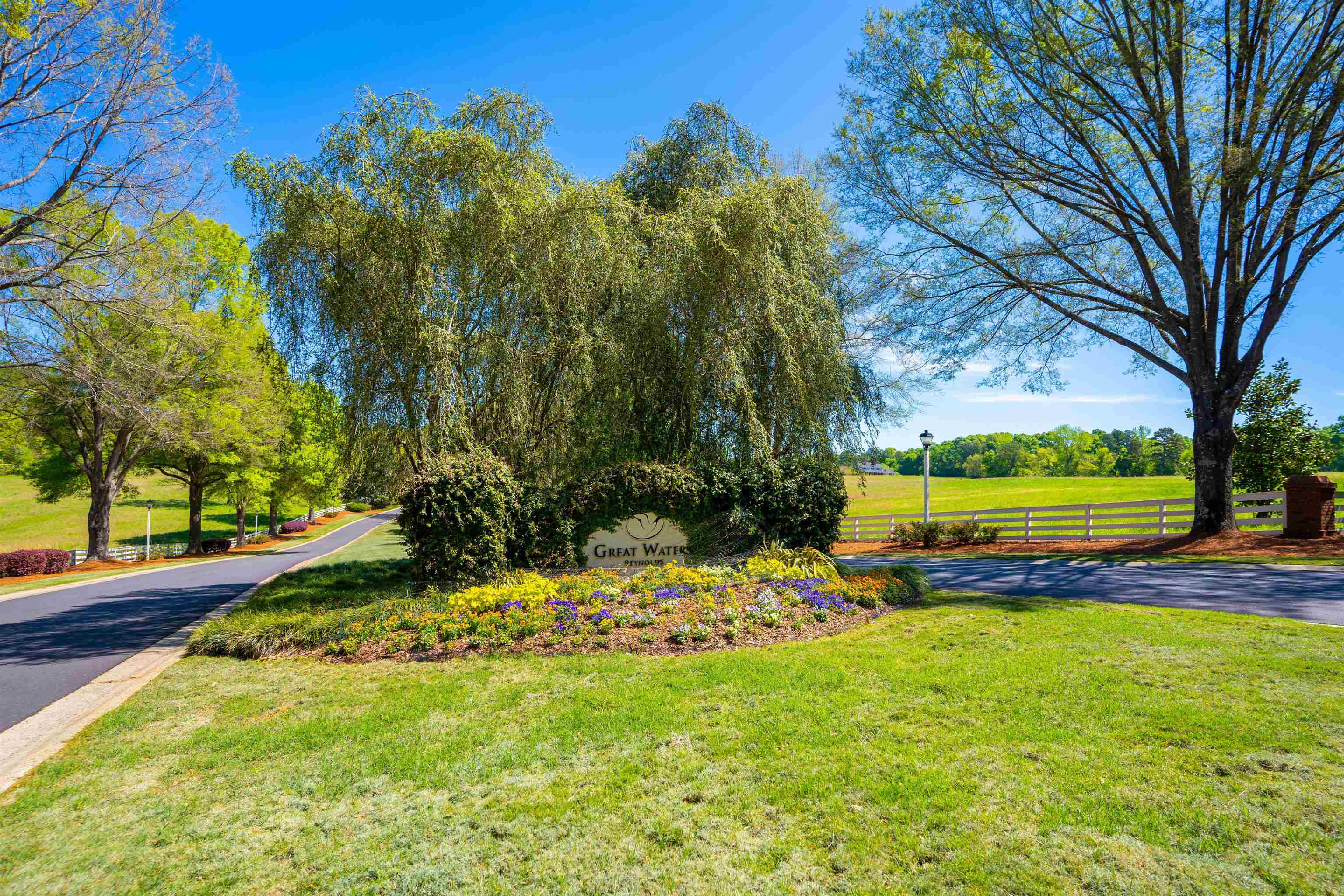 246 BEECH HAVEN LANE image 27