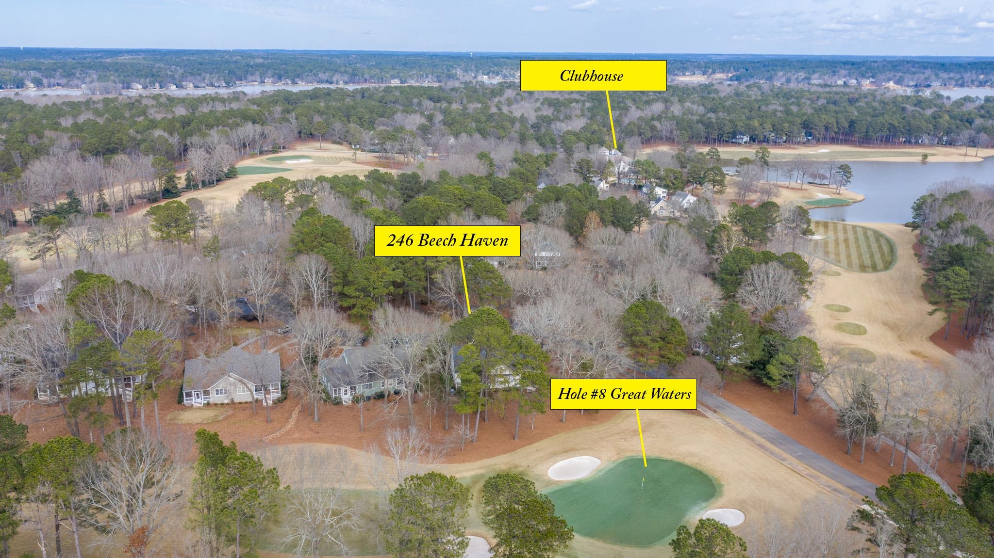 246 BEECH HAVEN LANE image 5