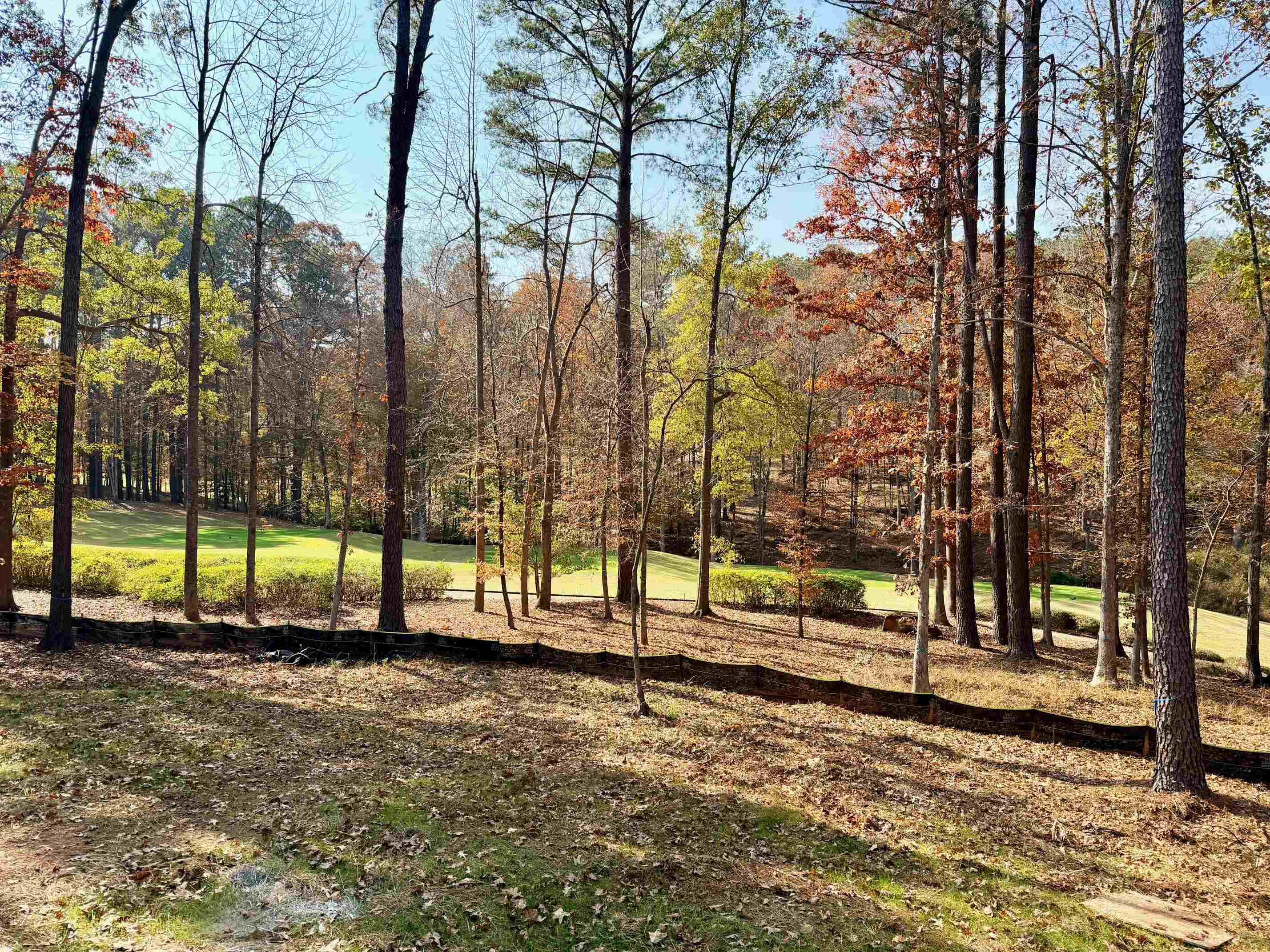 1030 PEARLS COURT image 3