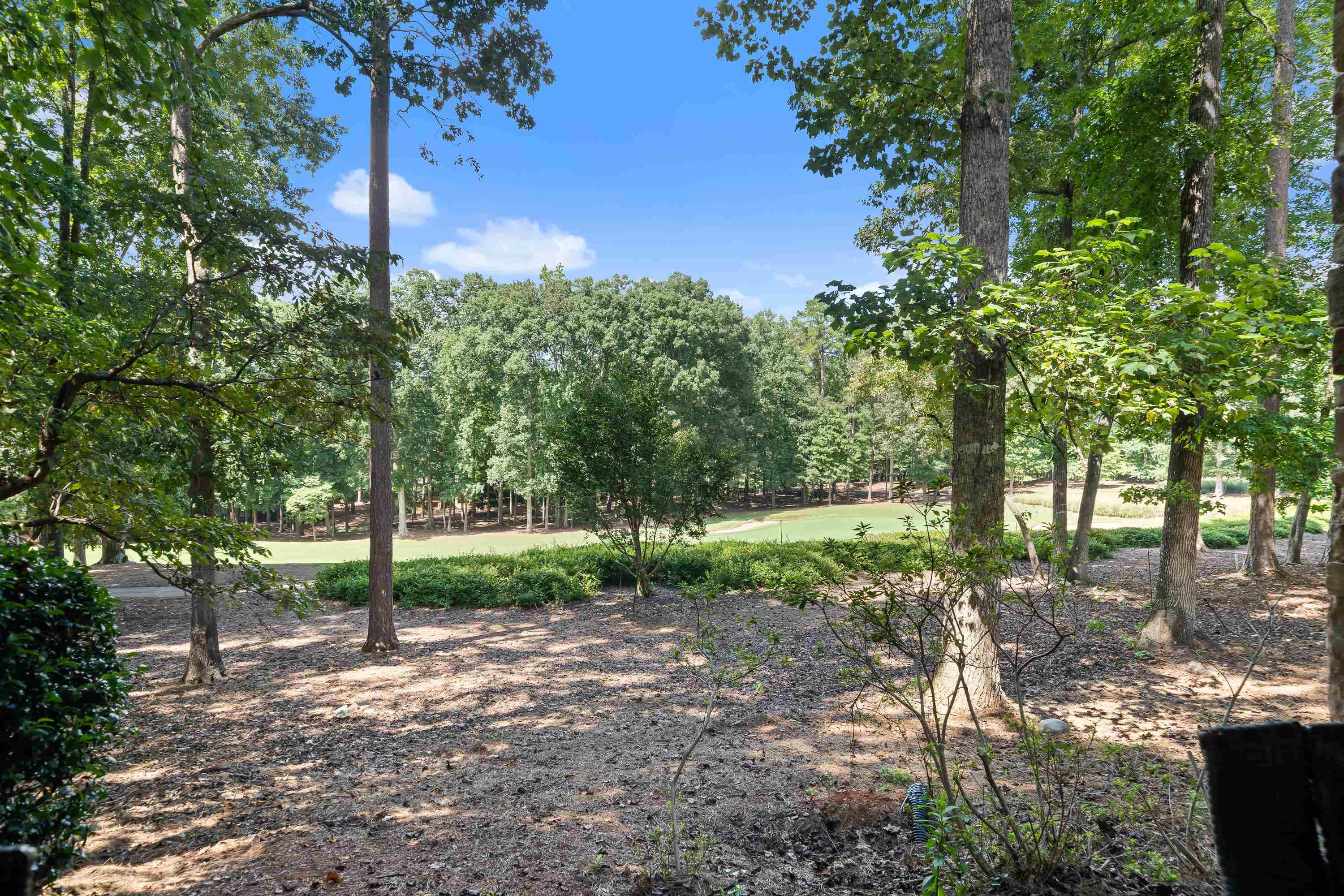 1041 LOCKETS TRAIL image 66