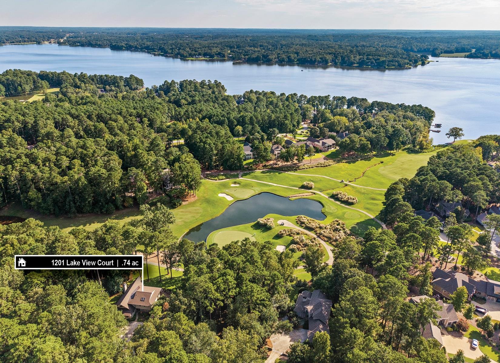 1201 LAKEVIEW COURT image 64