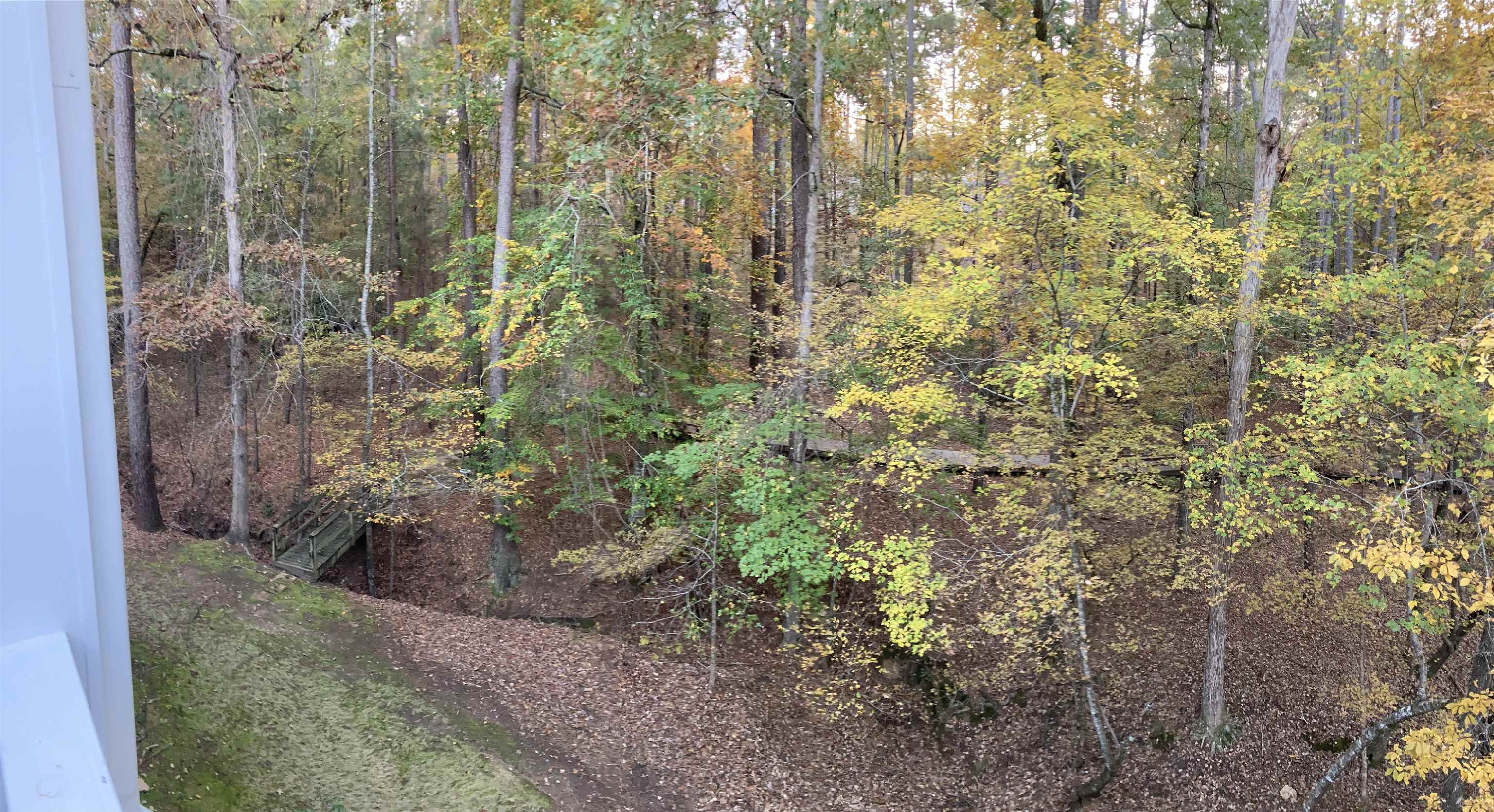 1020 TROUBLESOME CREEK LANE image 18