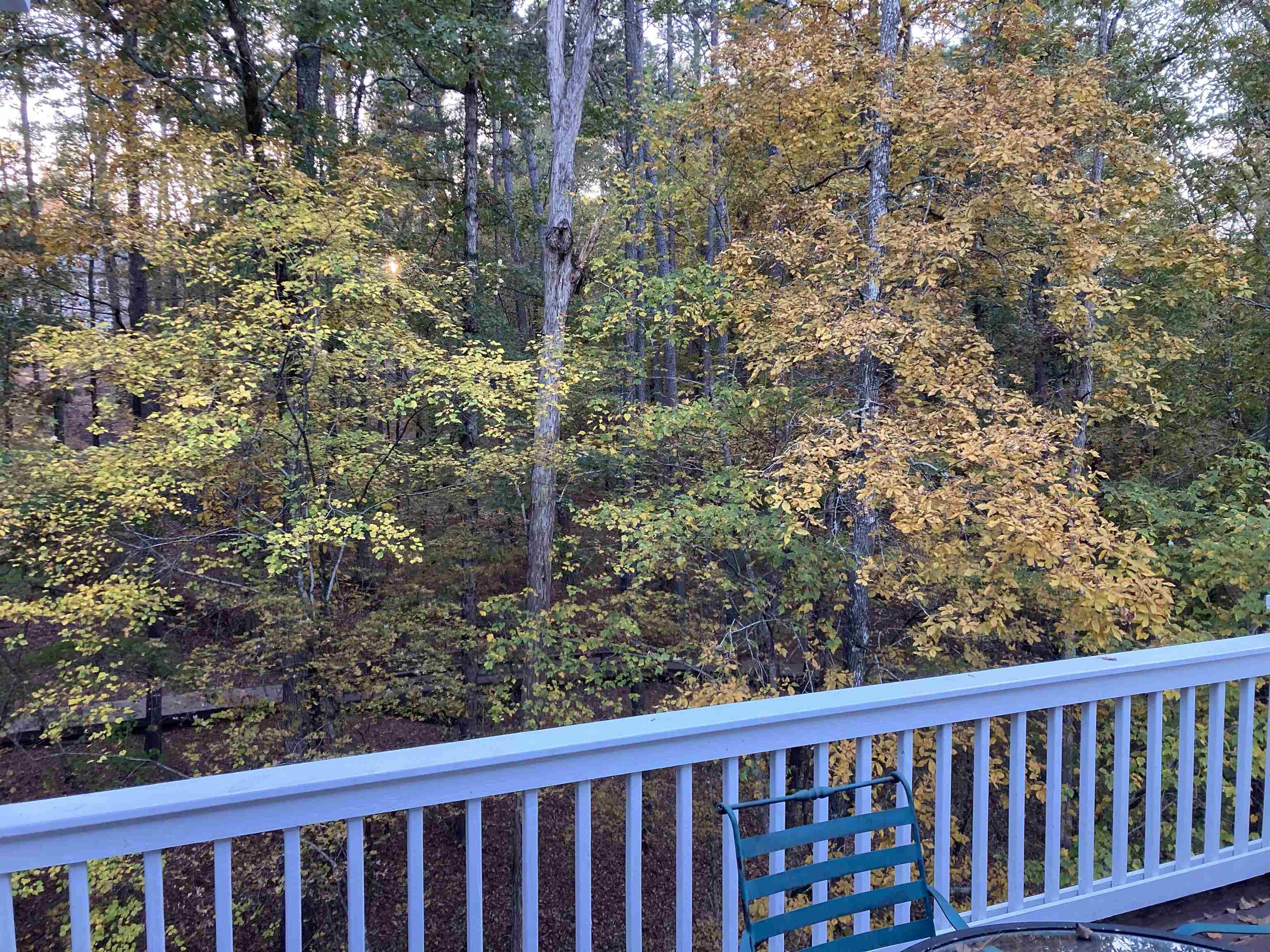 1020 TROUBLESOME CREEK LANE image 19