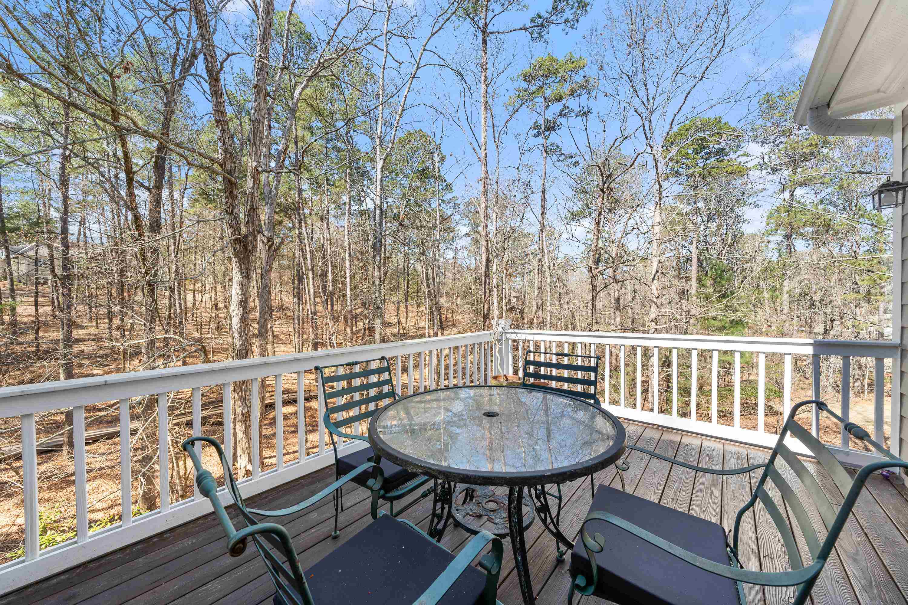 1020 TROUBLESOME CREEK LANE image 23