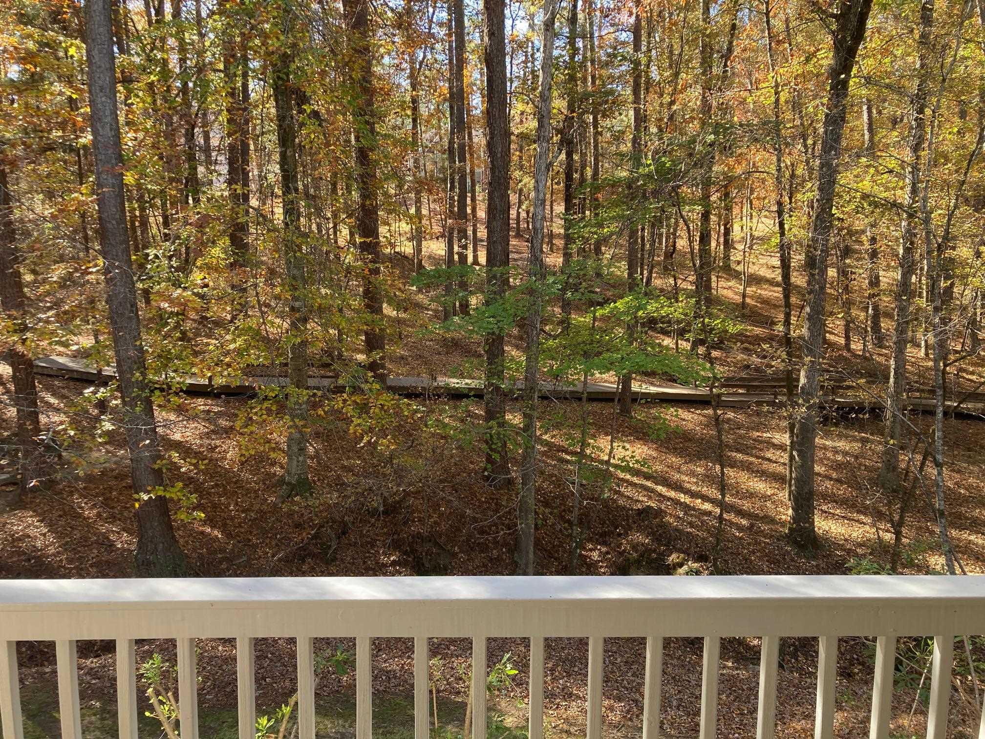 1020 TROUBLESOME CREEK LANE image 43