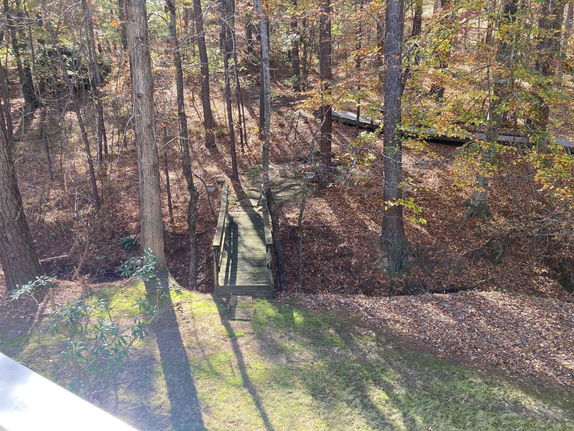 1020 TROUBLESOME CREEK LANE image 44