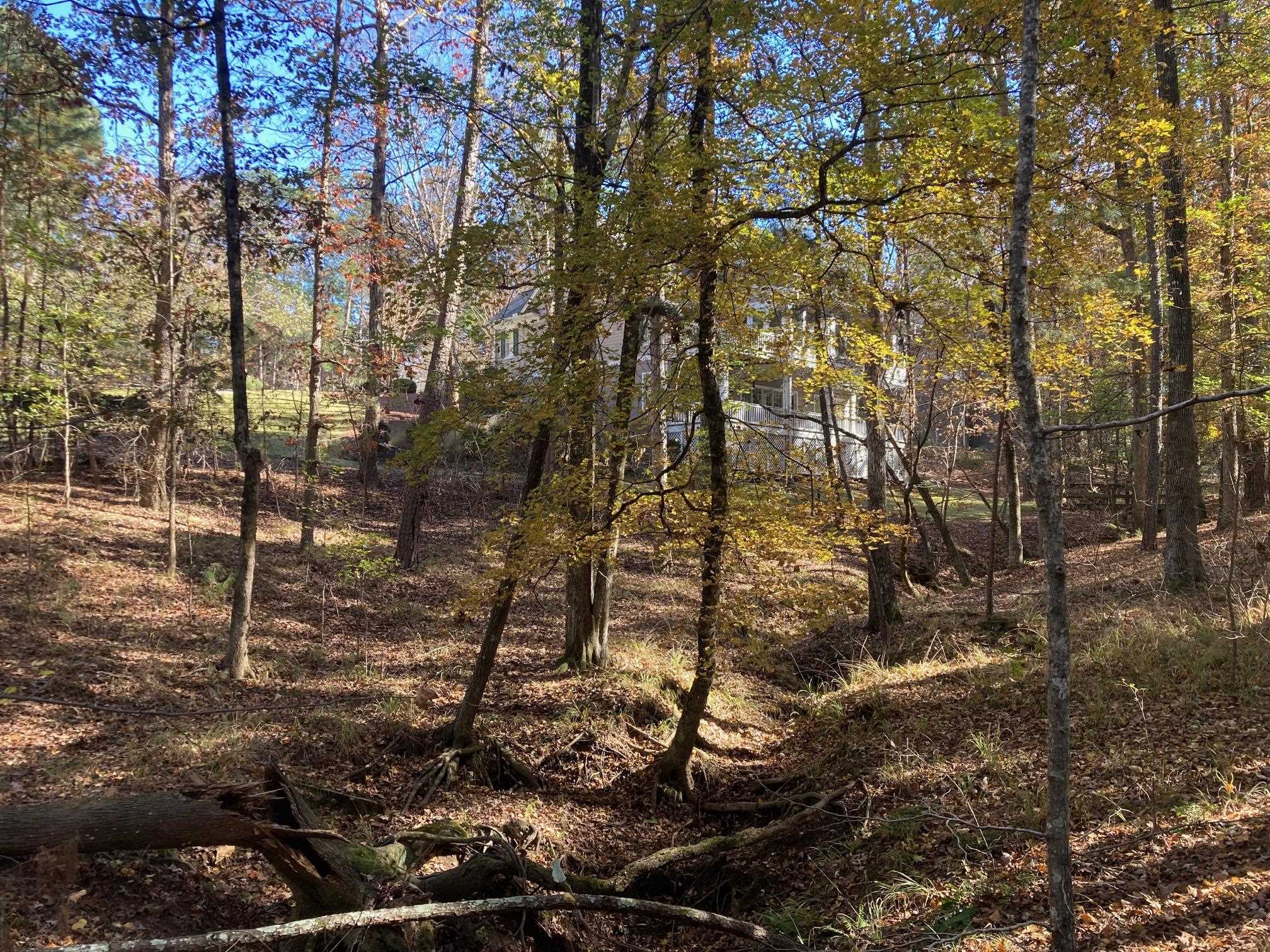 1020 TROUBLESOME CREEK LANE image 47