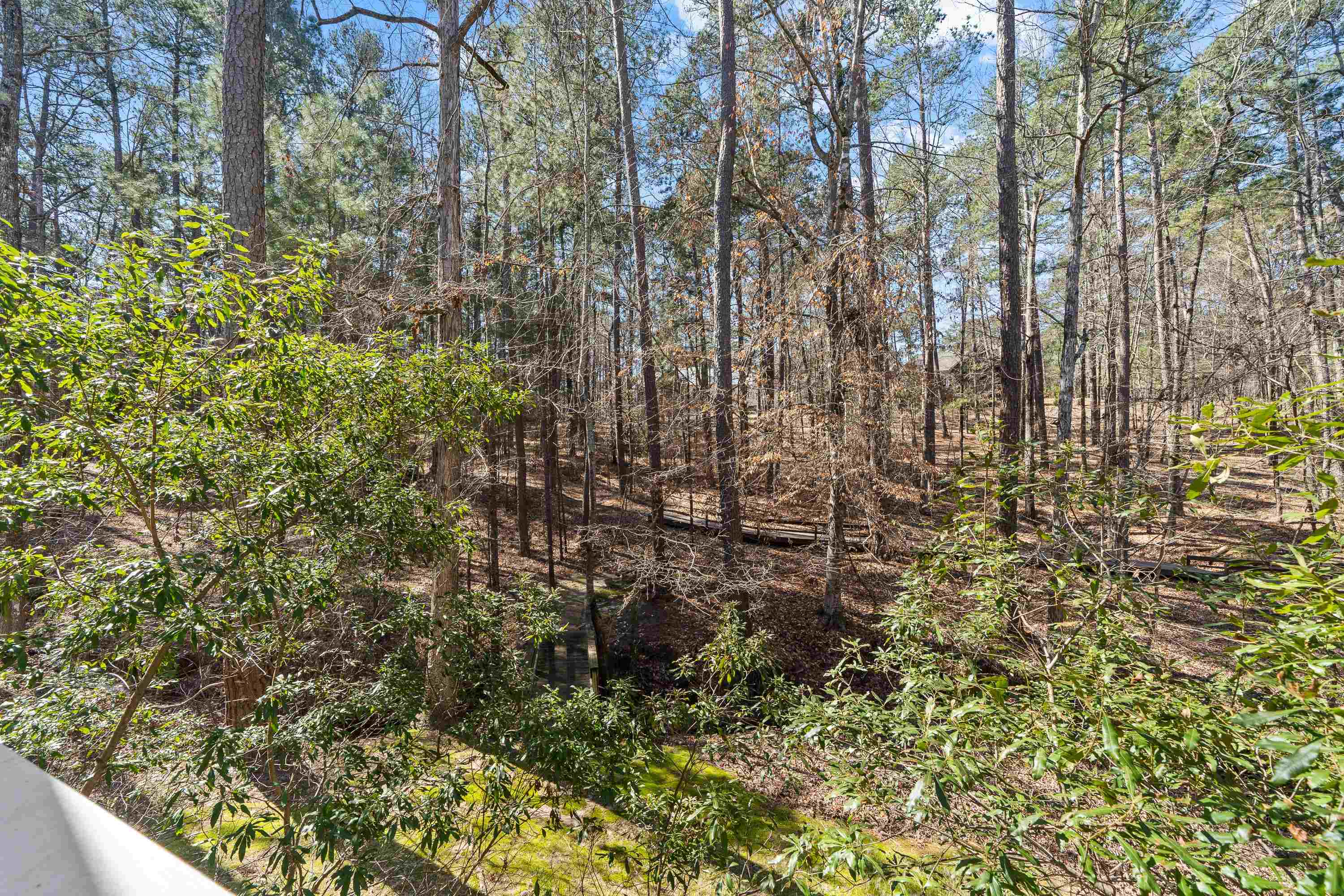 1020 TROUBLESOME CREEK LANE image 51