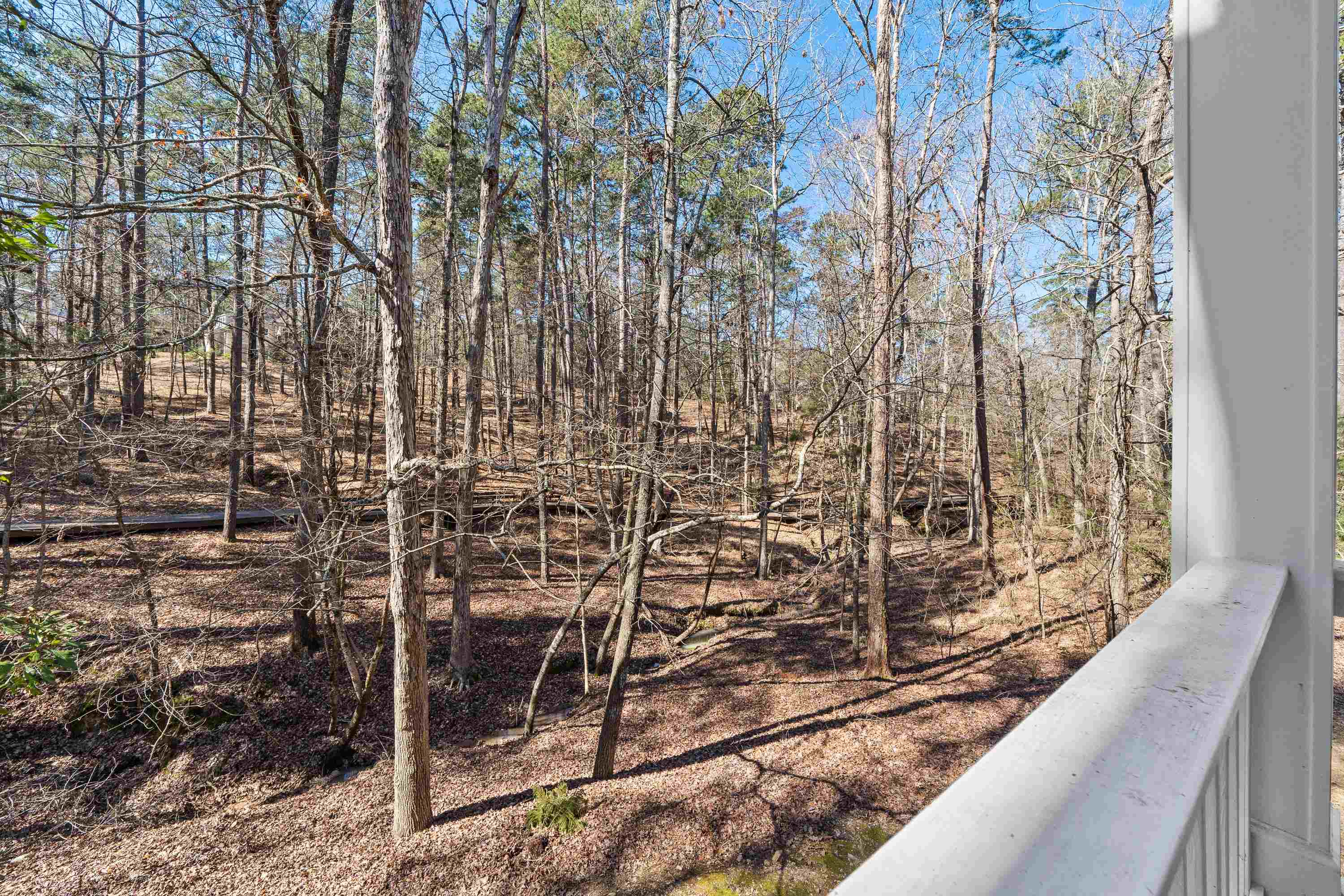 1020 TROUBLESOME CREEK LANE image 52