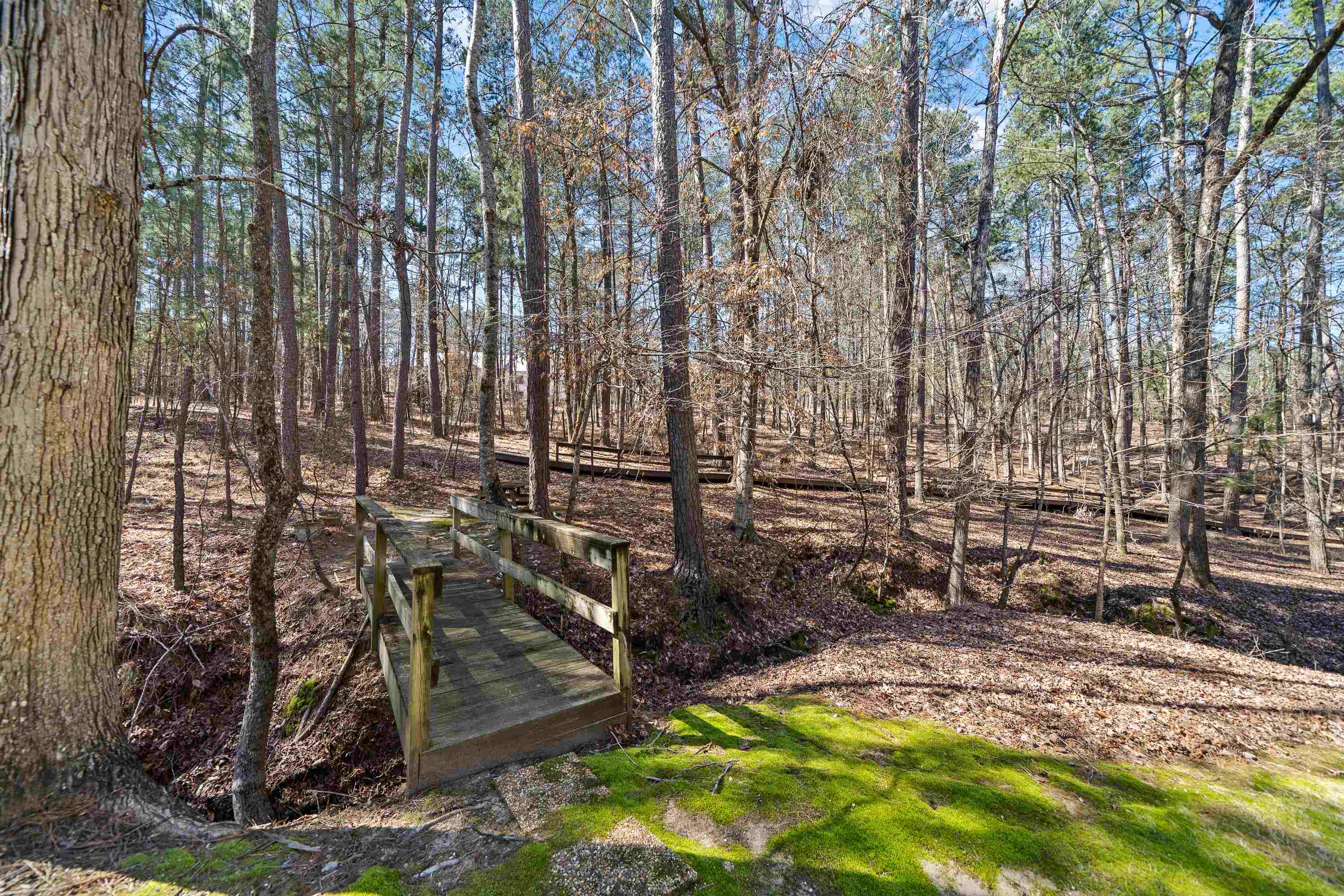 1020 TROUBLESOME CREEK LANE image 54