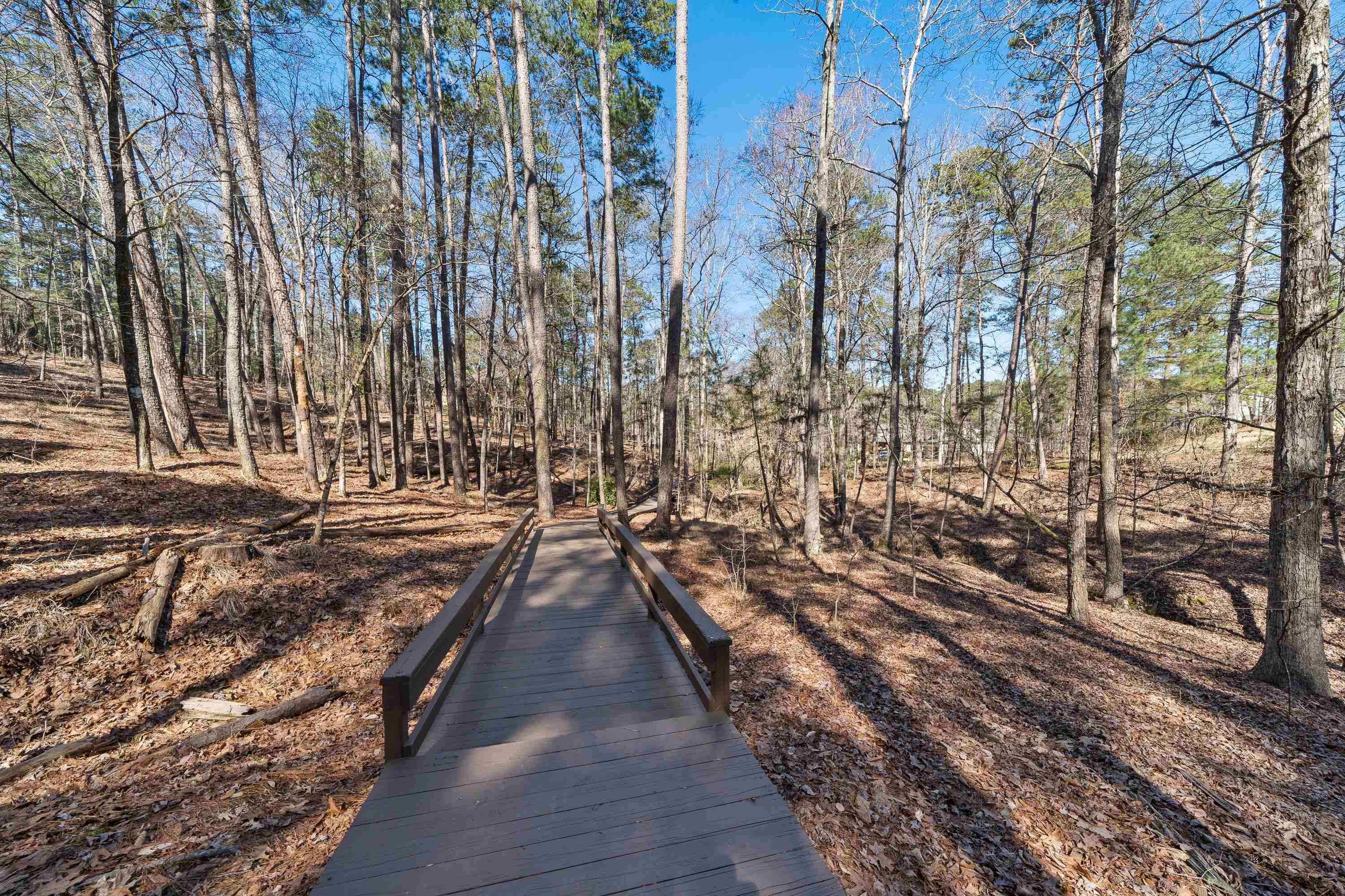 1020 TROUBLESOME CREEK LANE image 56