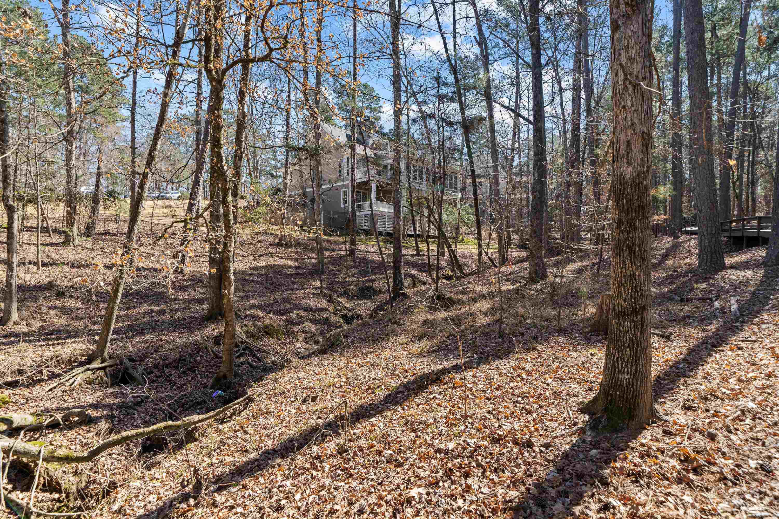 1020 TROUBLESOME CREEK LANE image 58