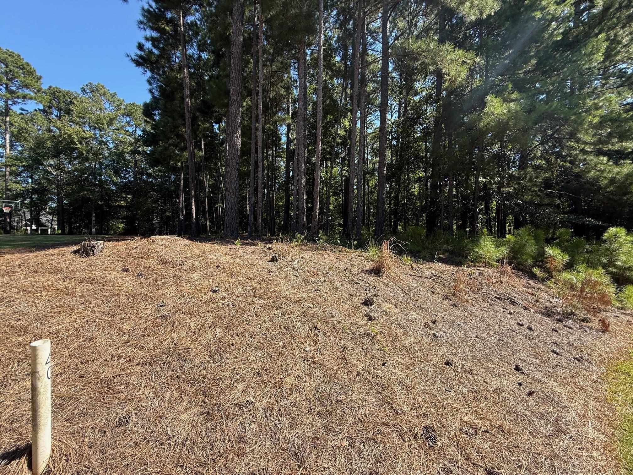 1320 Fairway Ridge Drive image 7