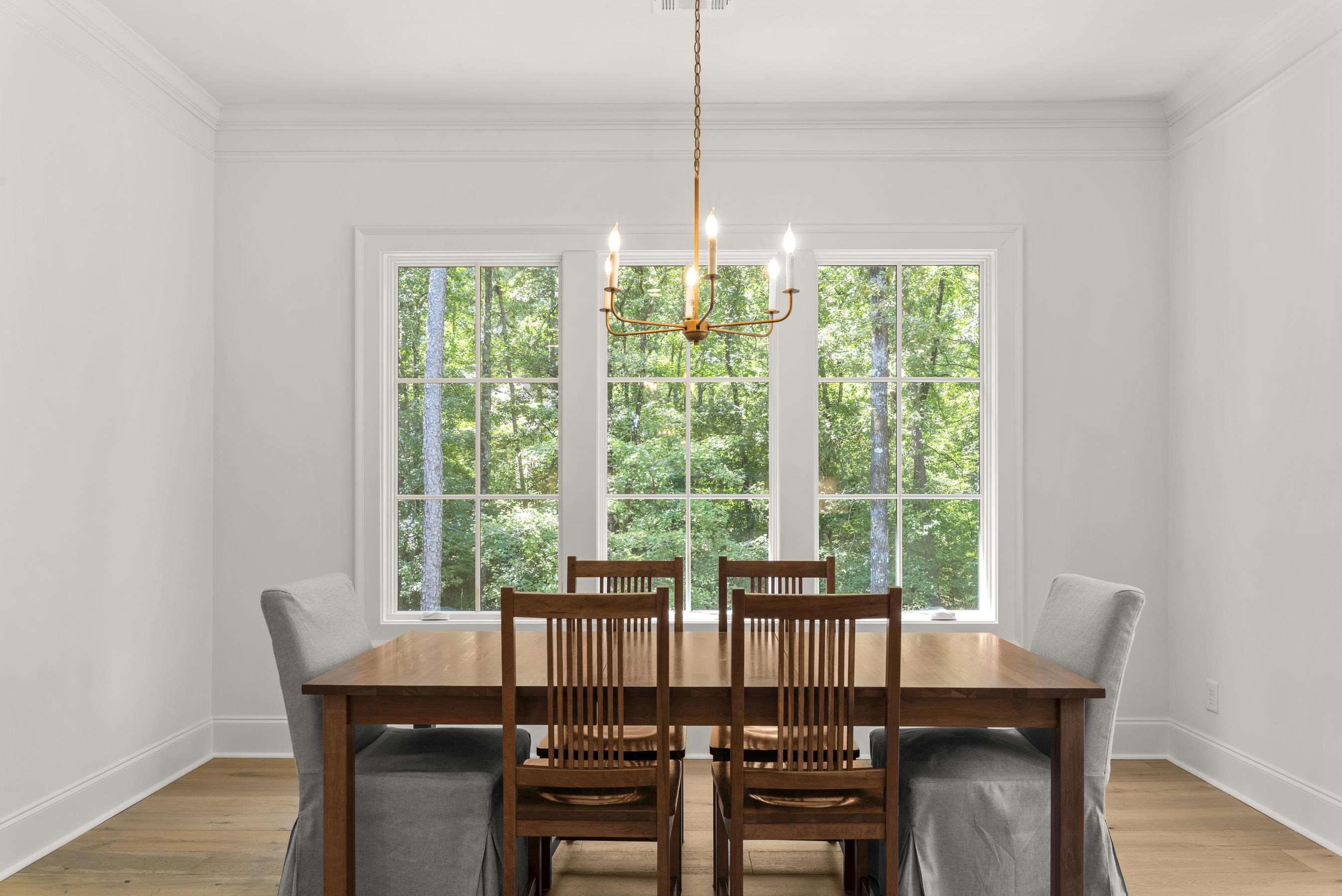 1000 TROUBLESOME CREEK LANE image 15