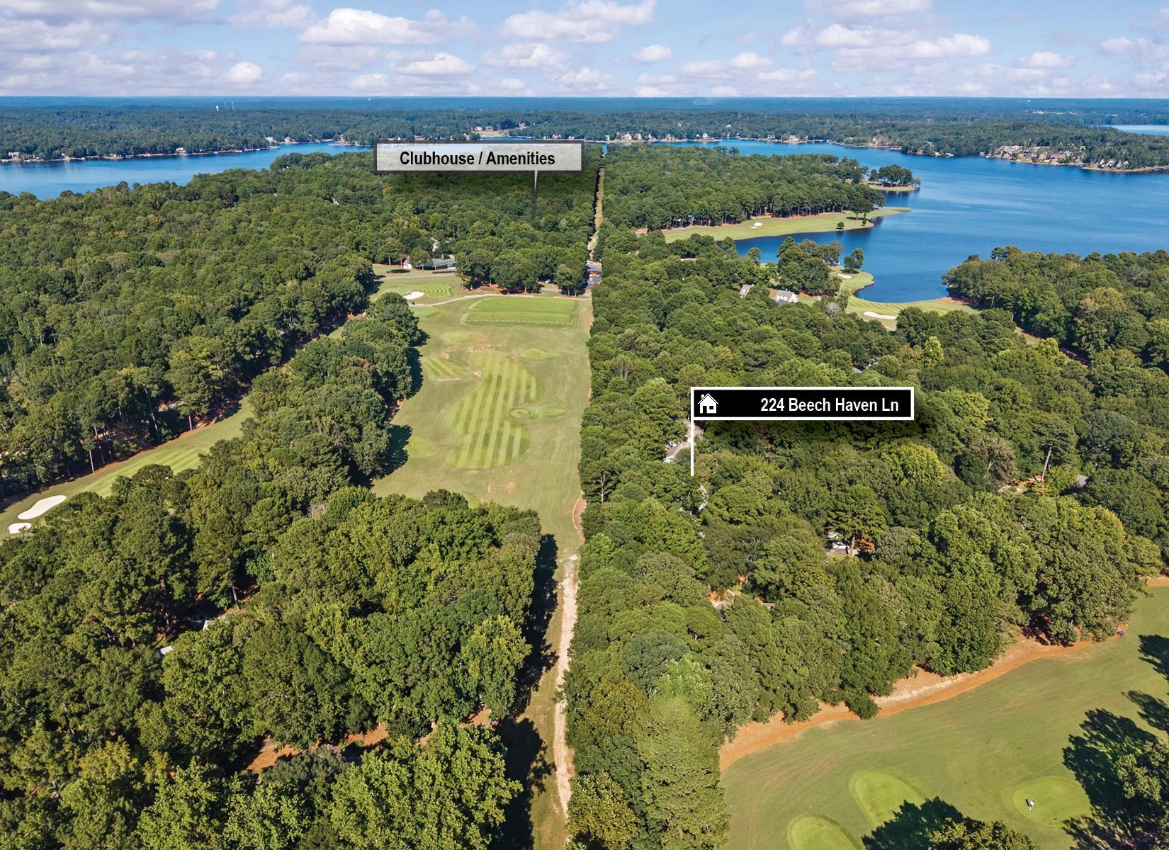 224 BEECH HAVEN LANE image 3